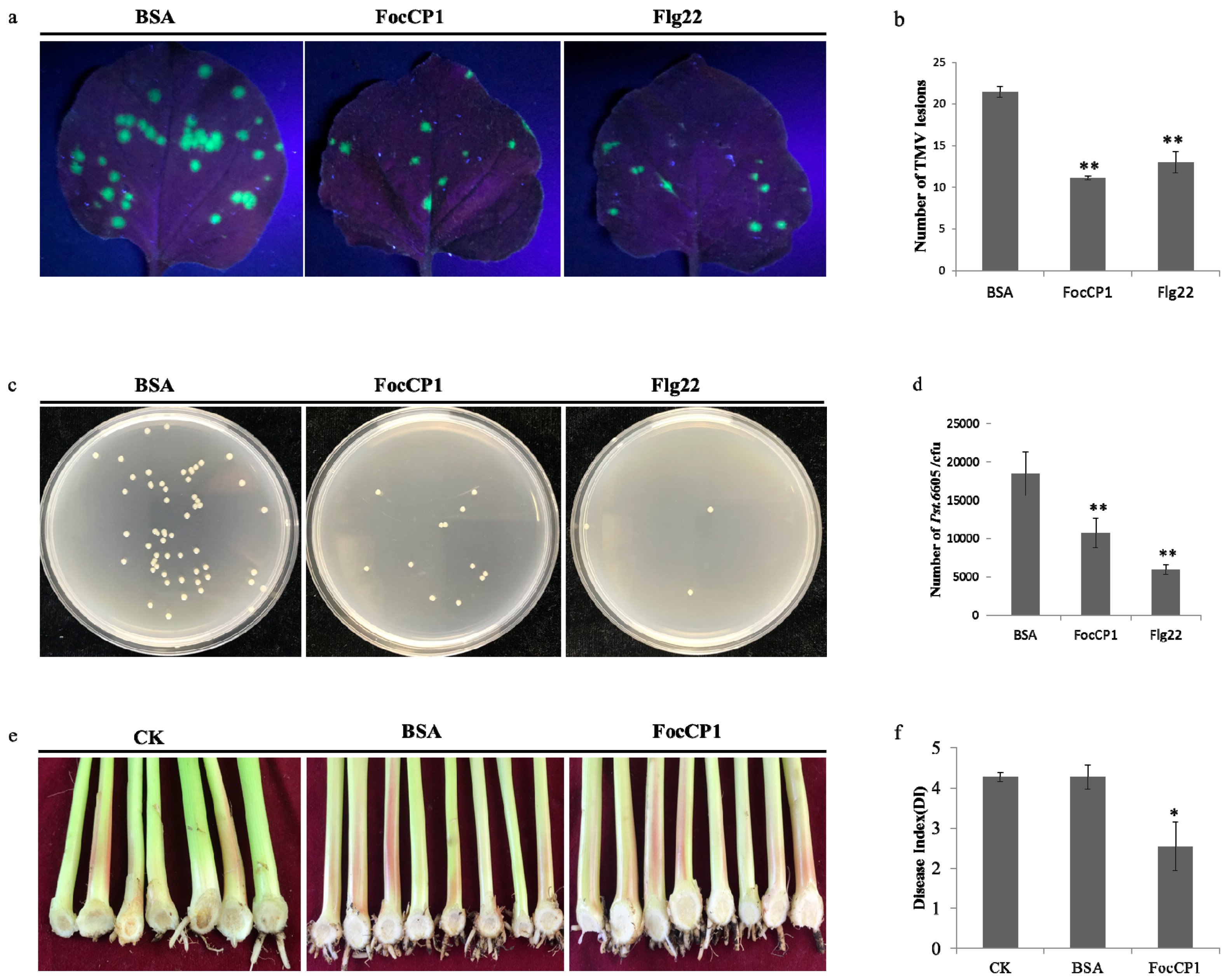 Ijms 20 02849 g006 Ijms 20 02849 g006