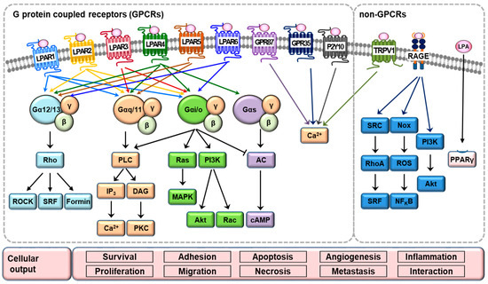 Ijms June 1 2019 Browse Articles - 