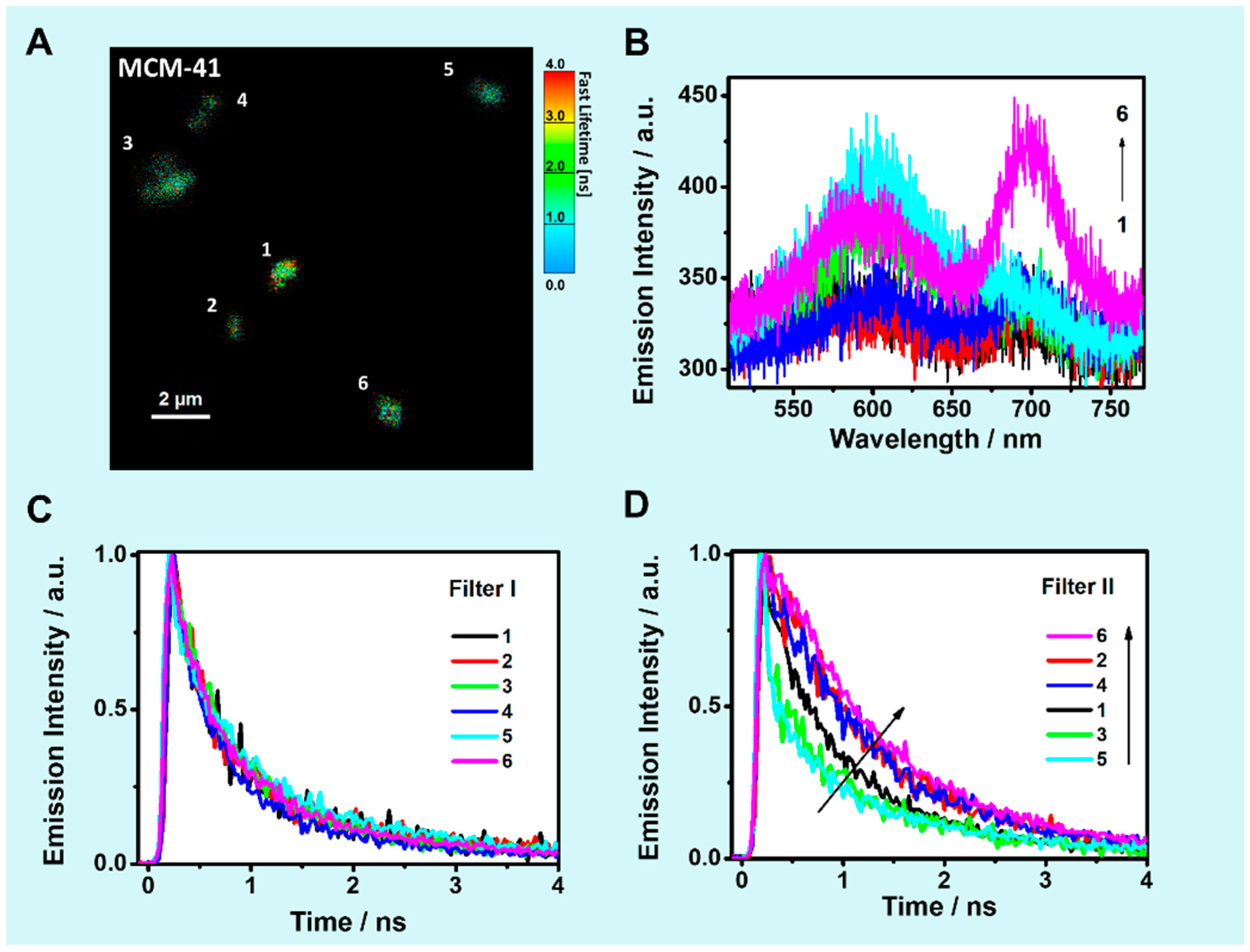 Ijms 20 02859 g002 550