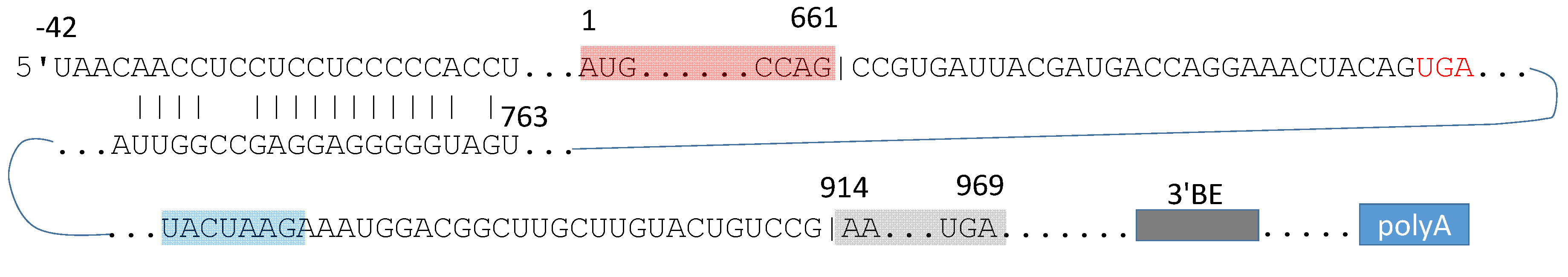 Ijms 20 02860 g001 Ijms 20 02860 g001