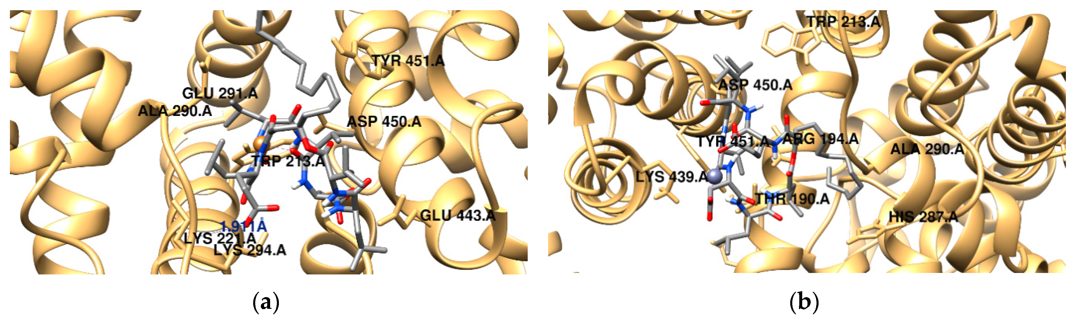 Ijms 20 02864 g007a Ijms 20 02864 g007a