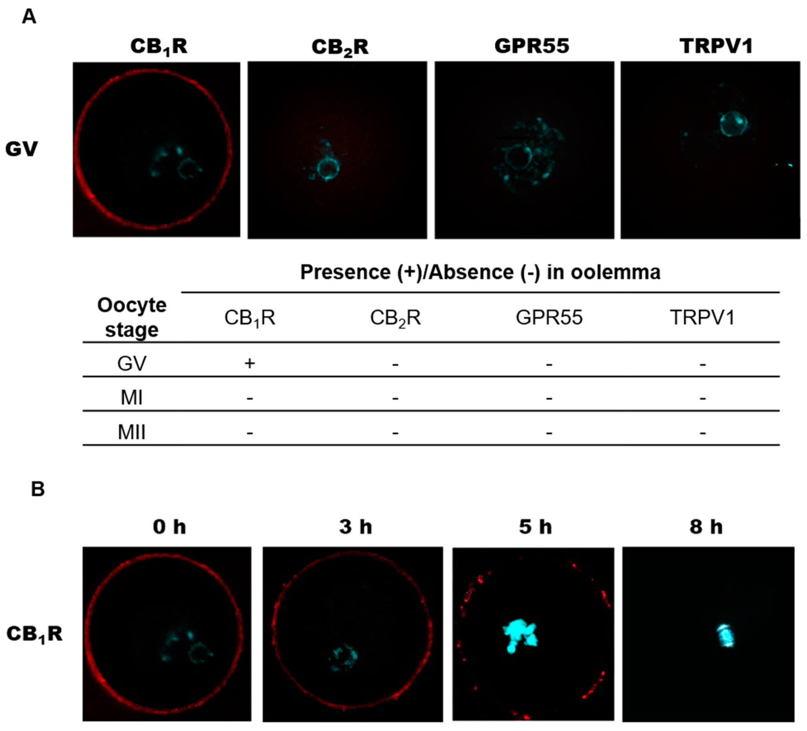 Ijms 20 02866 g003