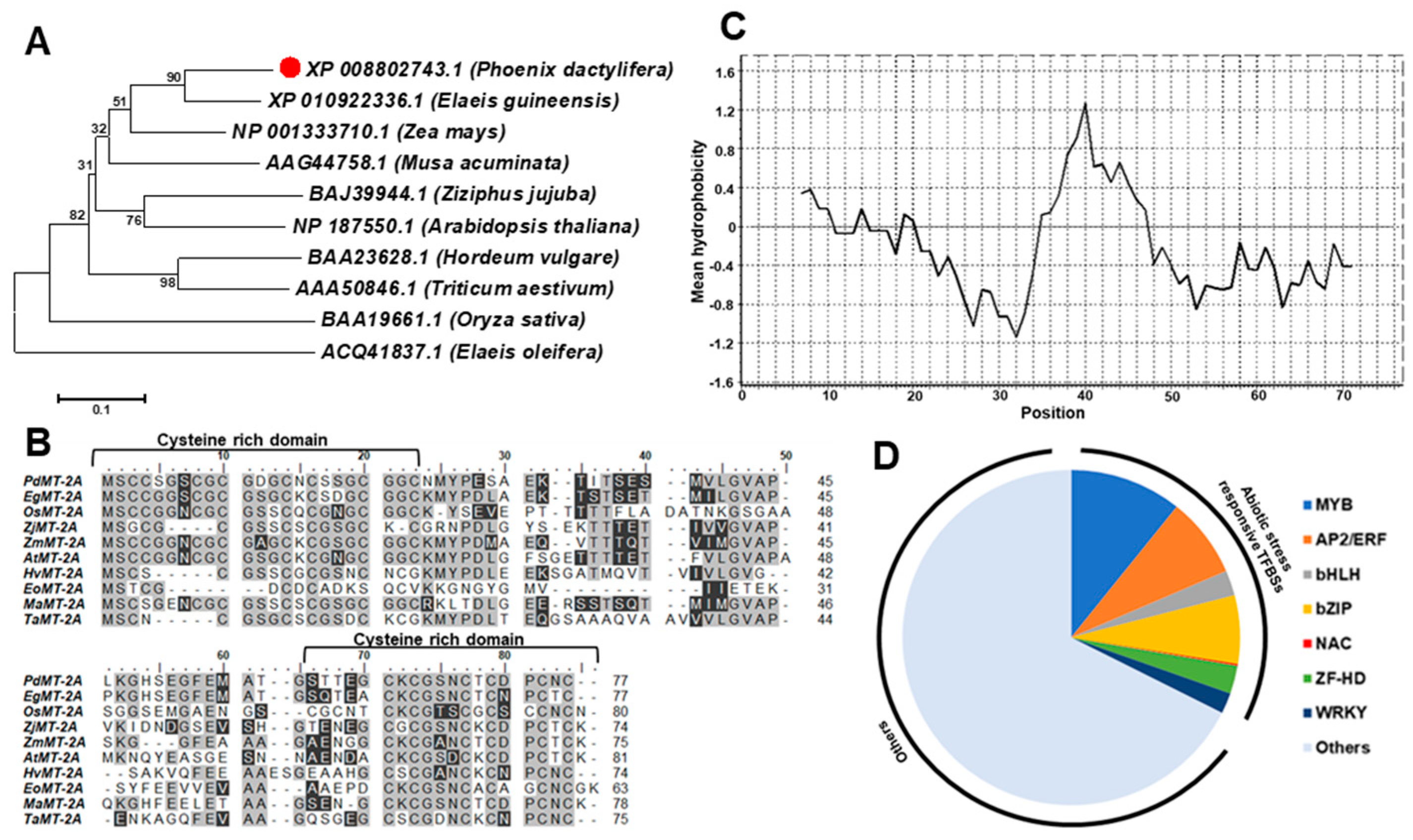 Ijms 20 02871 g001 Ijms 20 02871 g001