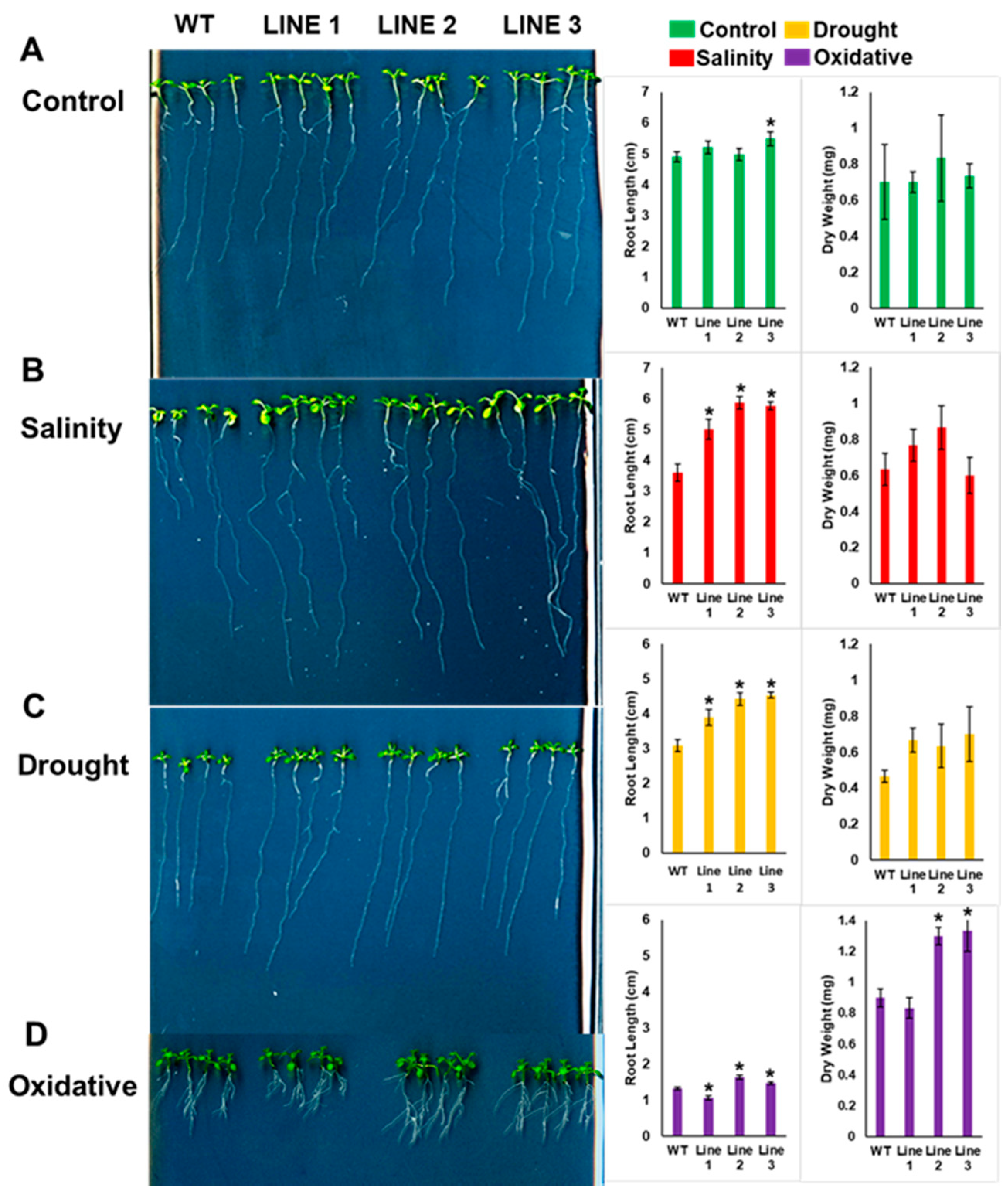 Ijms 20 02871 g005 Ijms 20 02871 g005