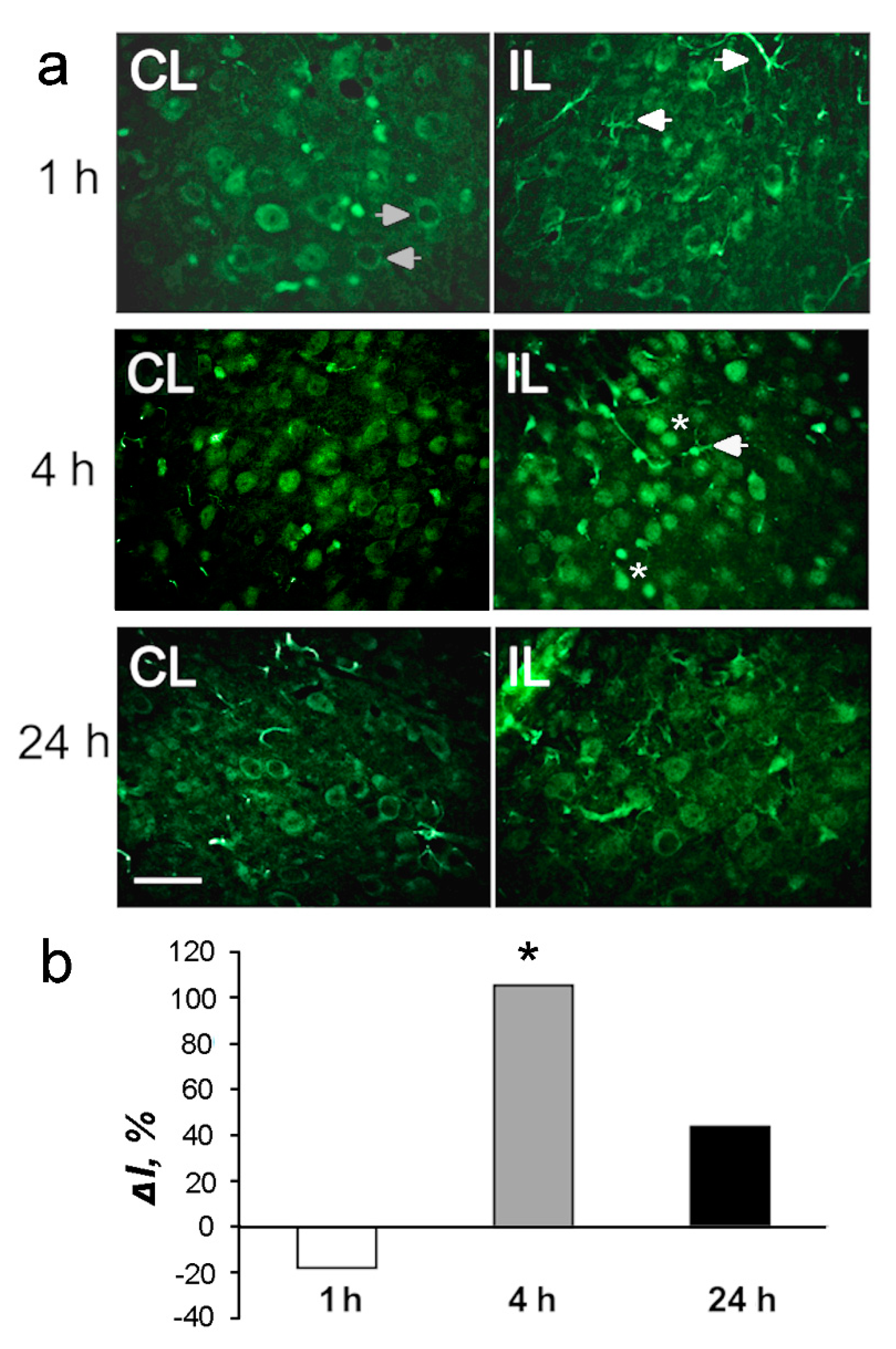 Ijms 20 02882 g004 Ijms 20 02882 g004
