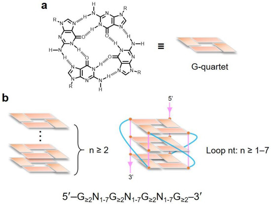 e Otsuka Physical Structure オリジナル Atomic structure of human TOM core complex | Cell Discovery