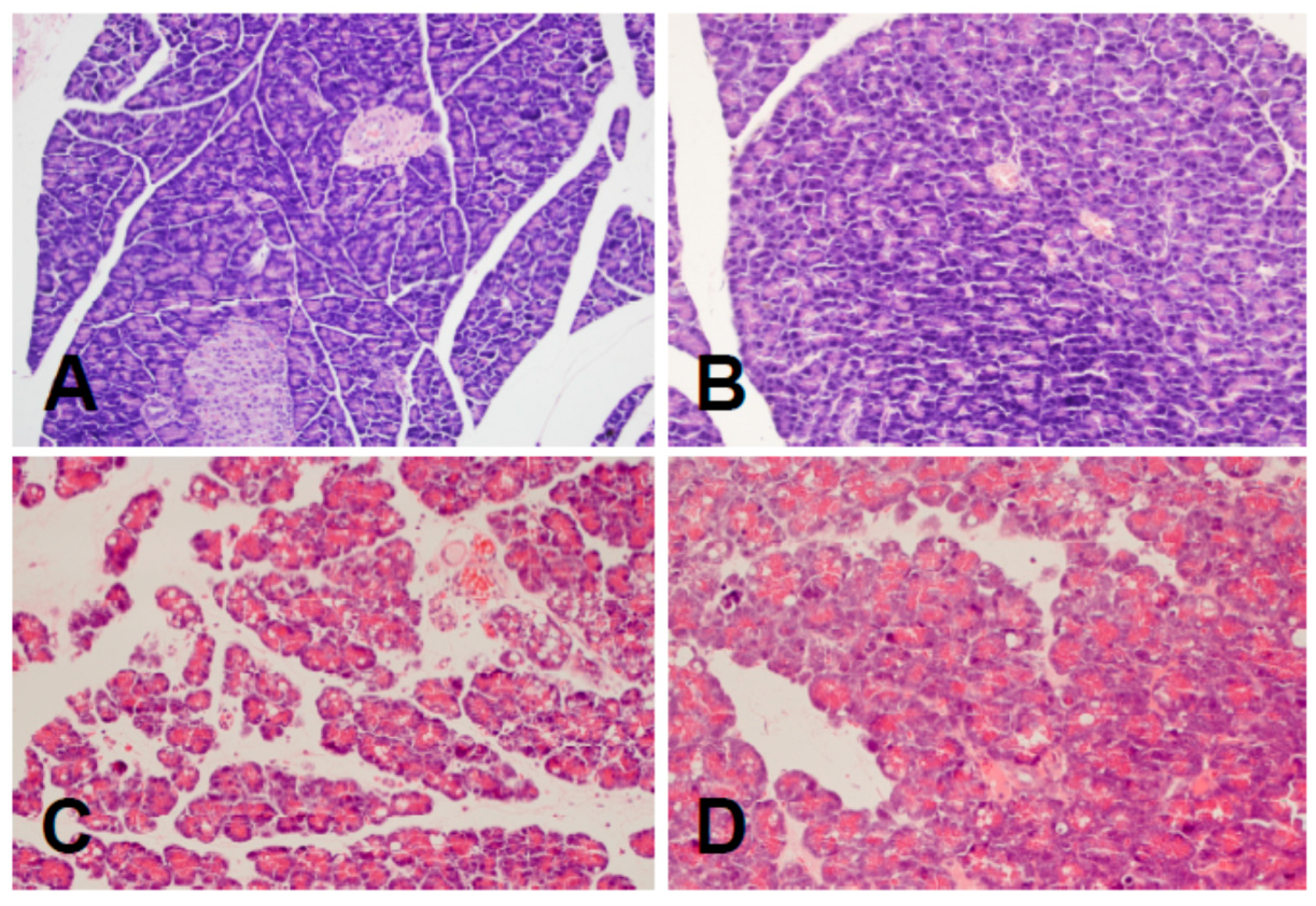 Ijms 20 02893 g001 550