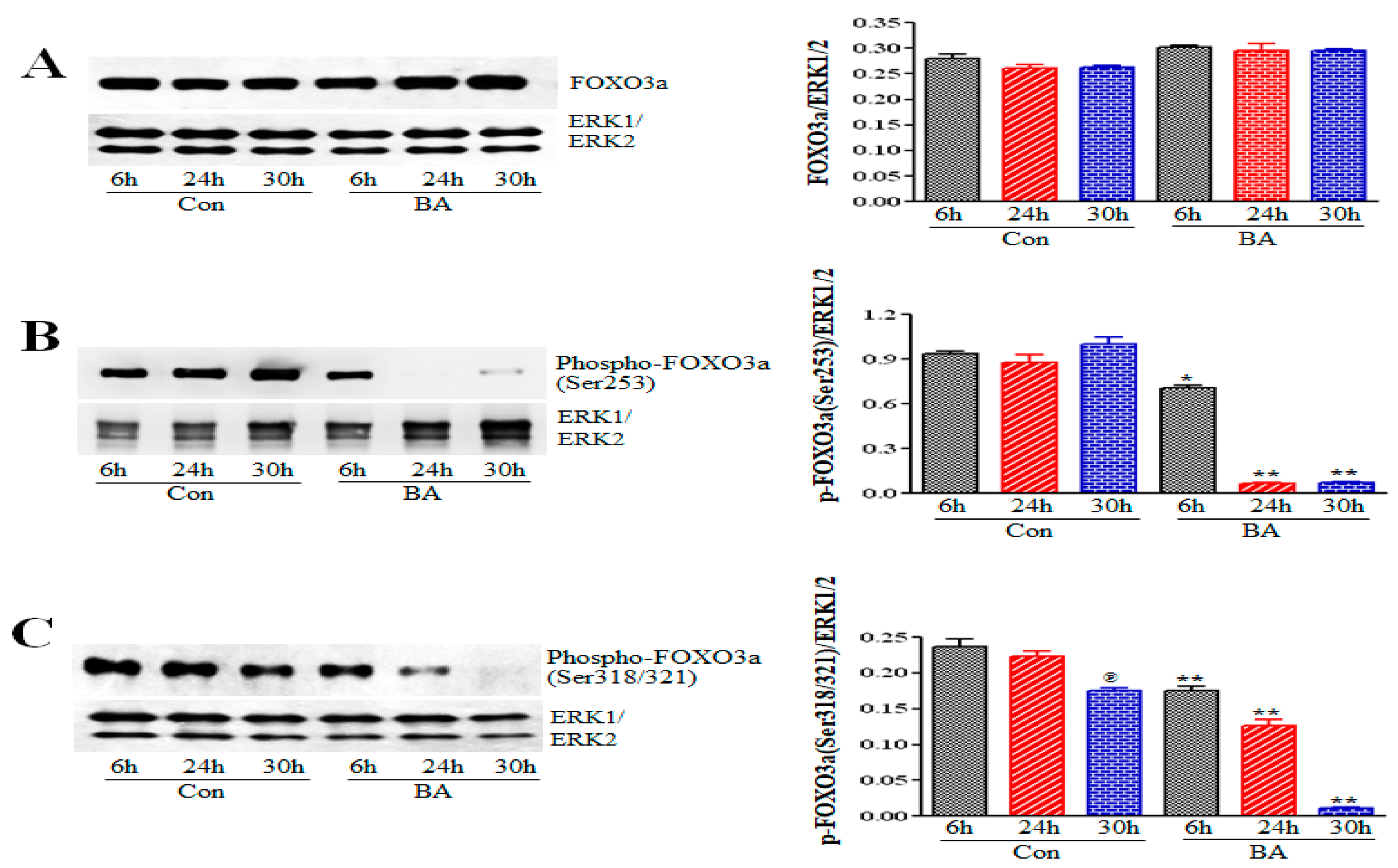 Ijms 20 02902 g006 Ijms 20 02902 g006