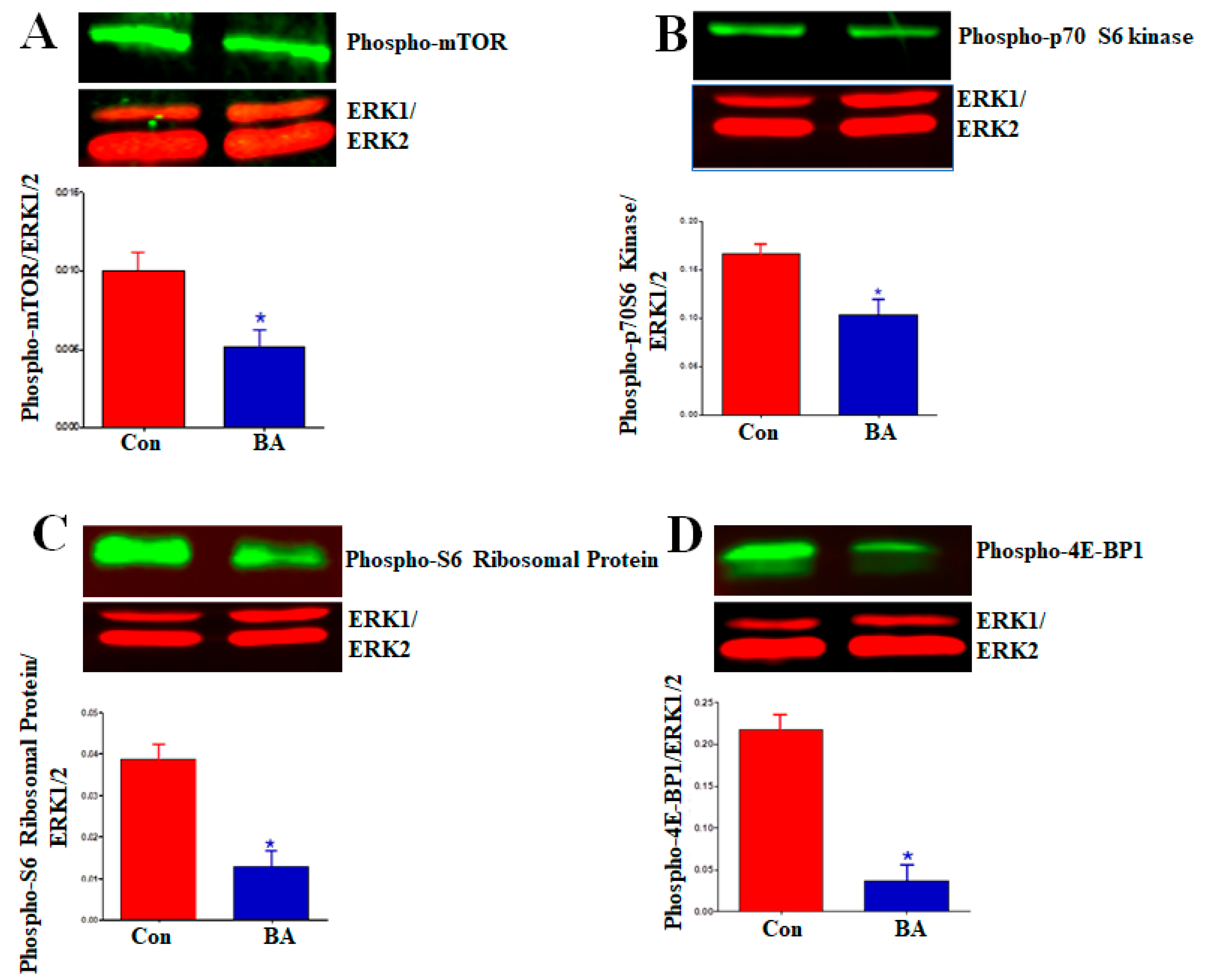 Ijms 20 02902 g008 Ijms 20 02902 g008