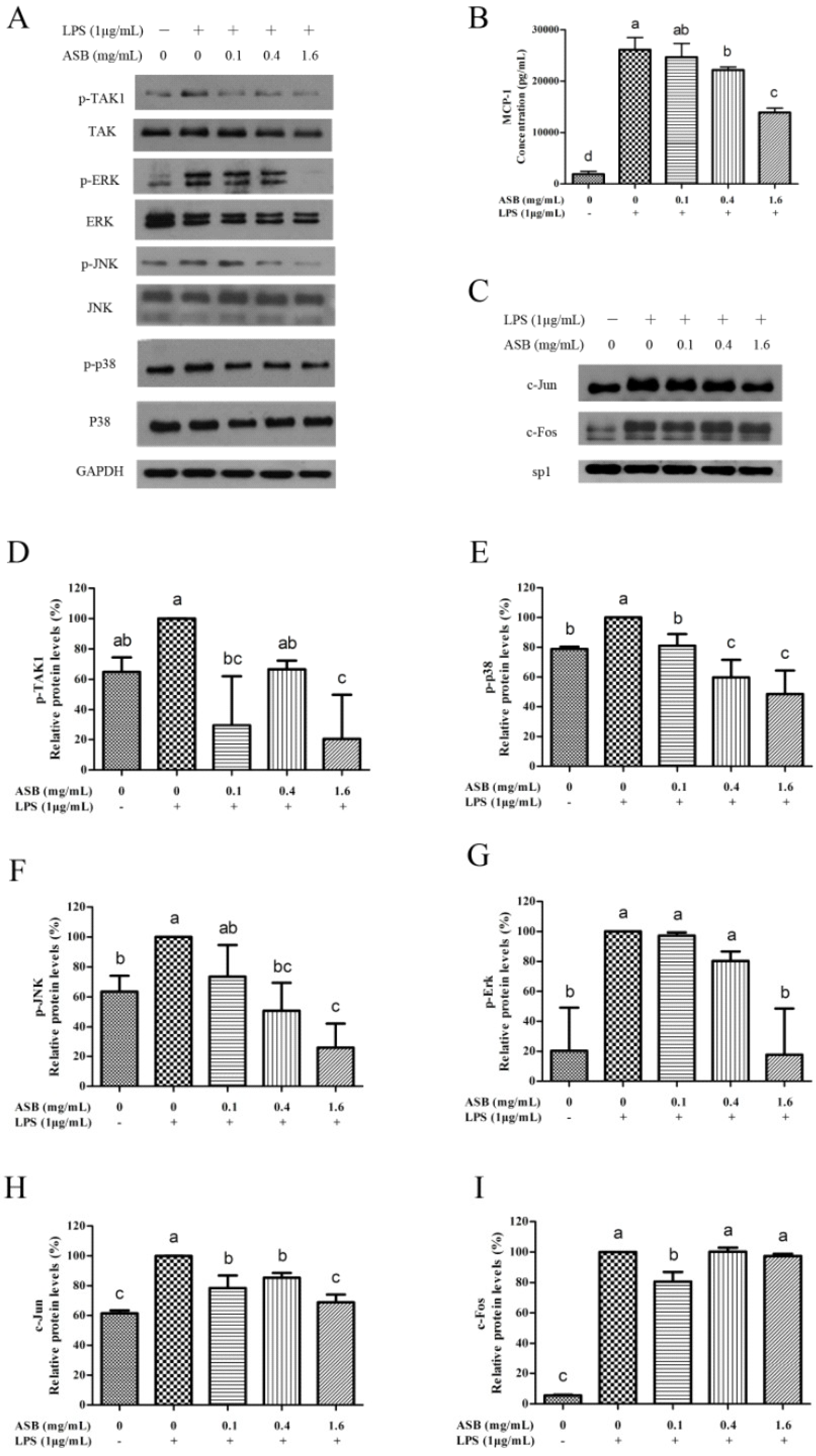 Ijms 20 02907 g006 Ijms 20 02907 g006