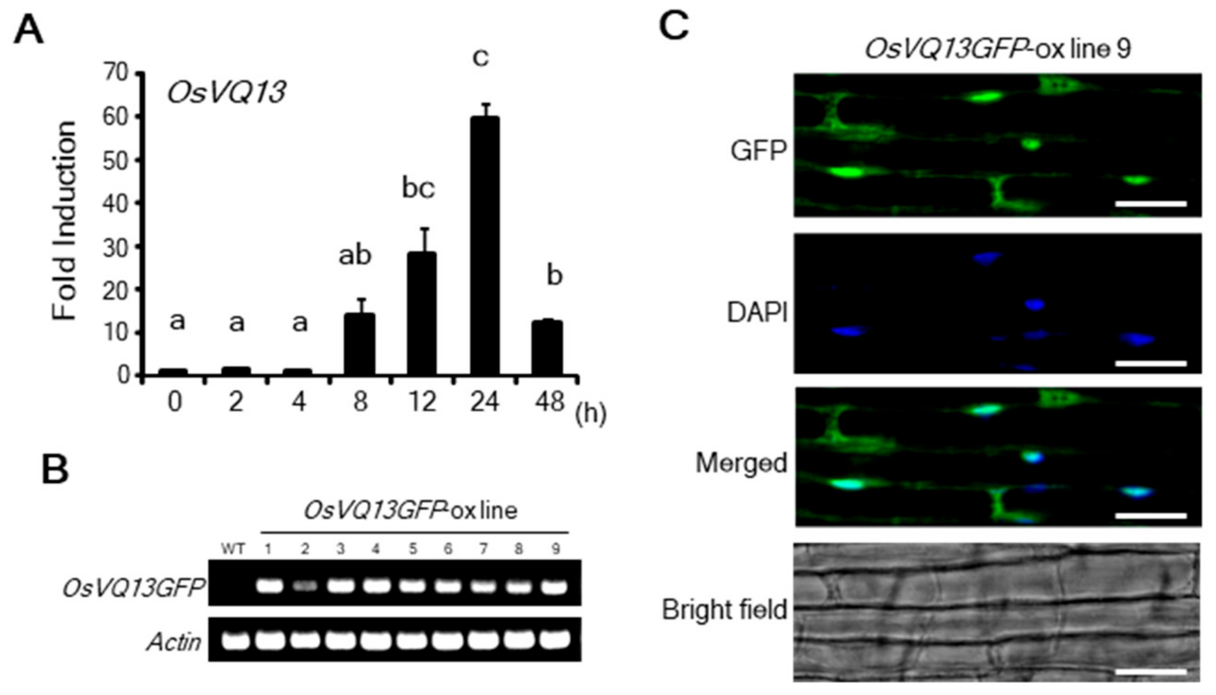 Ijms 20 02917 g001