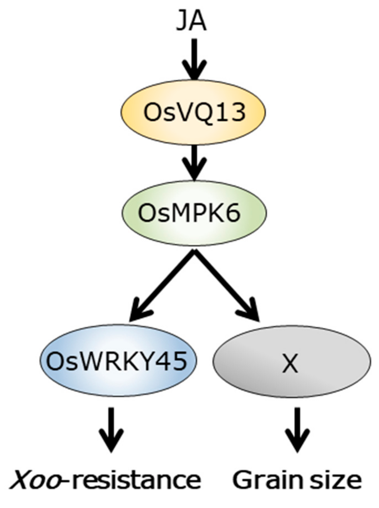 Ijms 20 02917 g007