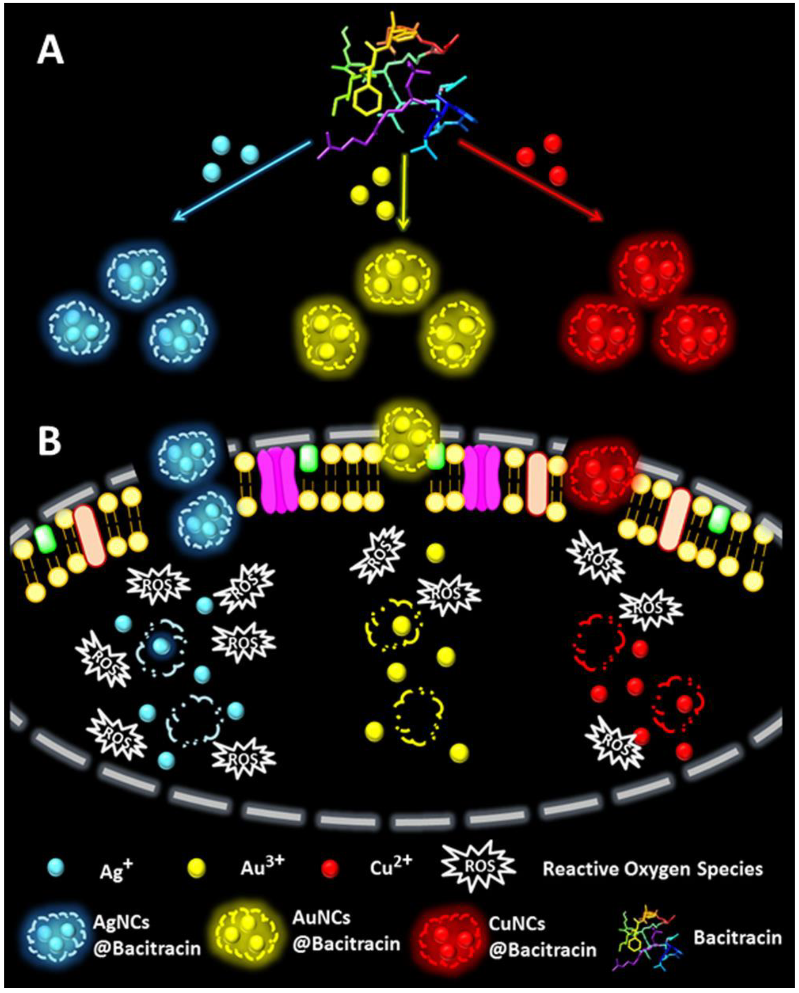 Ijms Free Full Text Antimicrobial Gold Nanoclusters Recent Developments And Future Perspectives Html