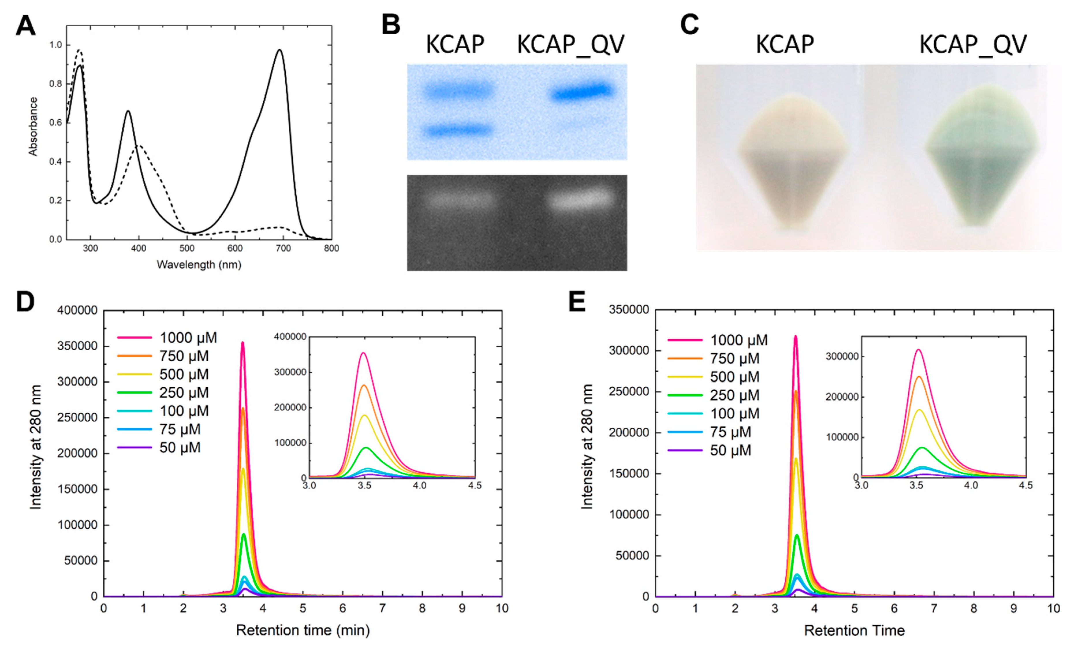 Ijms 20 02935 g004 Ijms 20 02935 g004