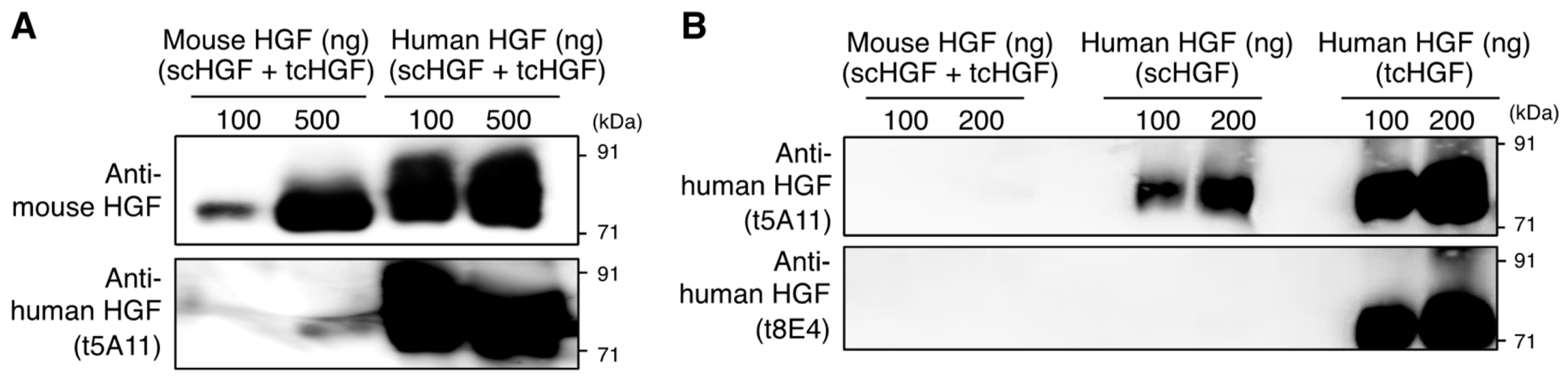 Ijms 20 02955 g001