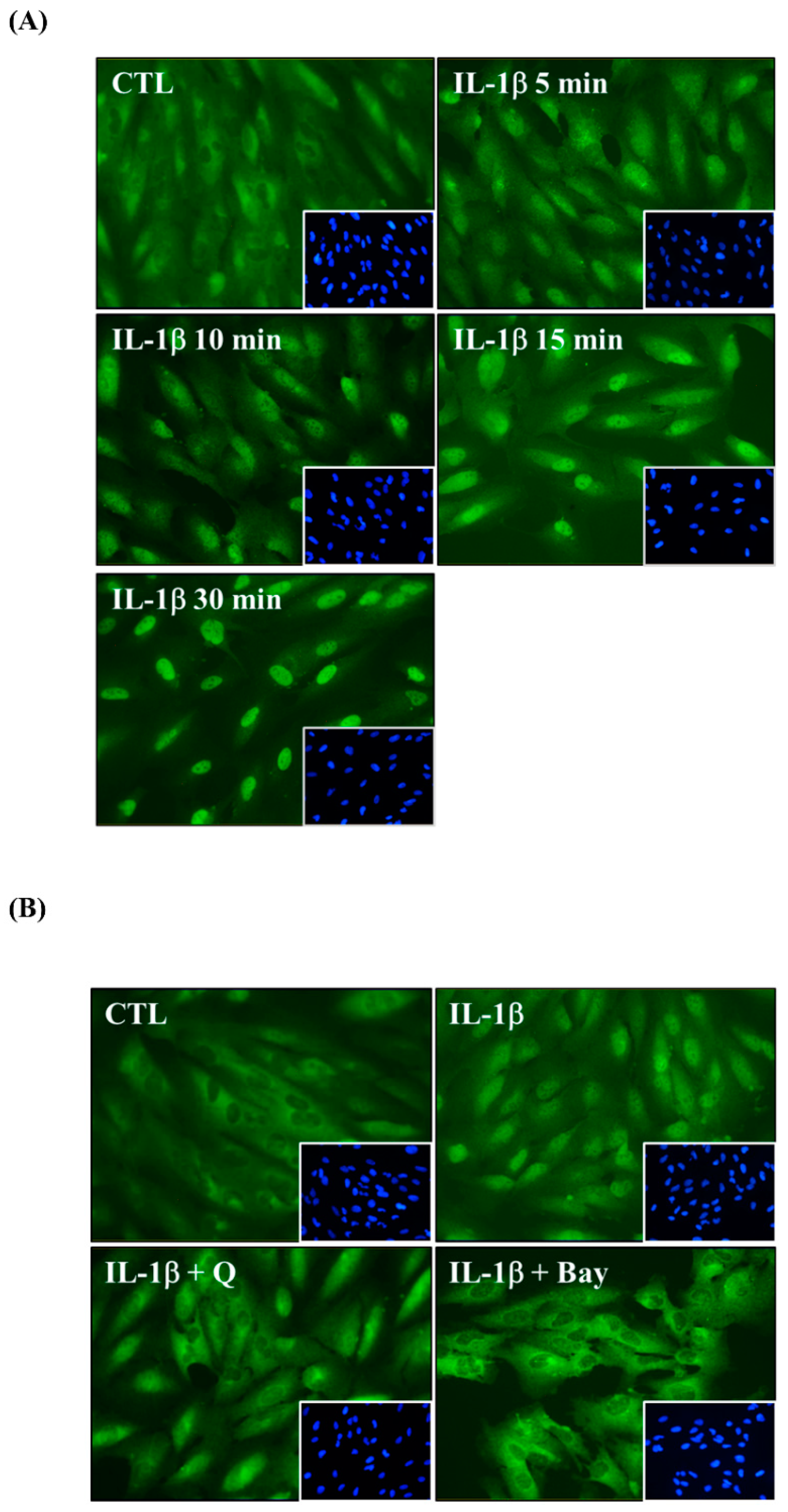 Ijms 20 02957 g008