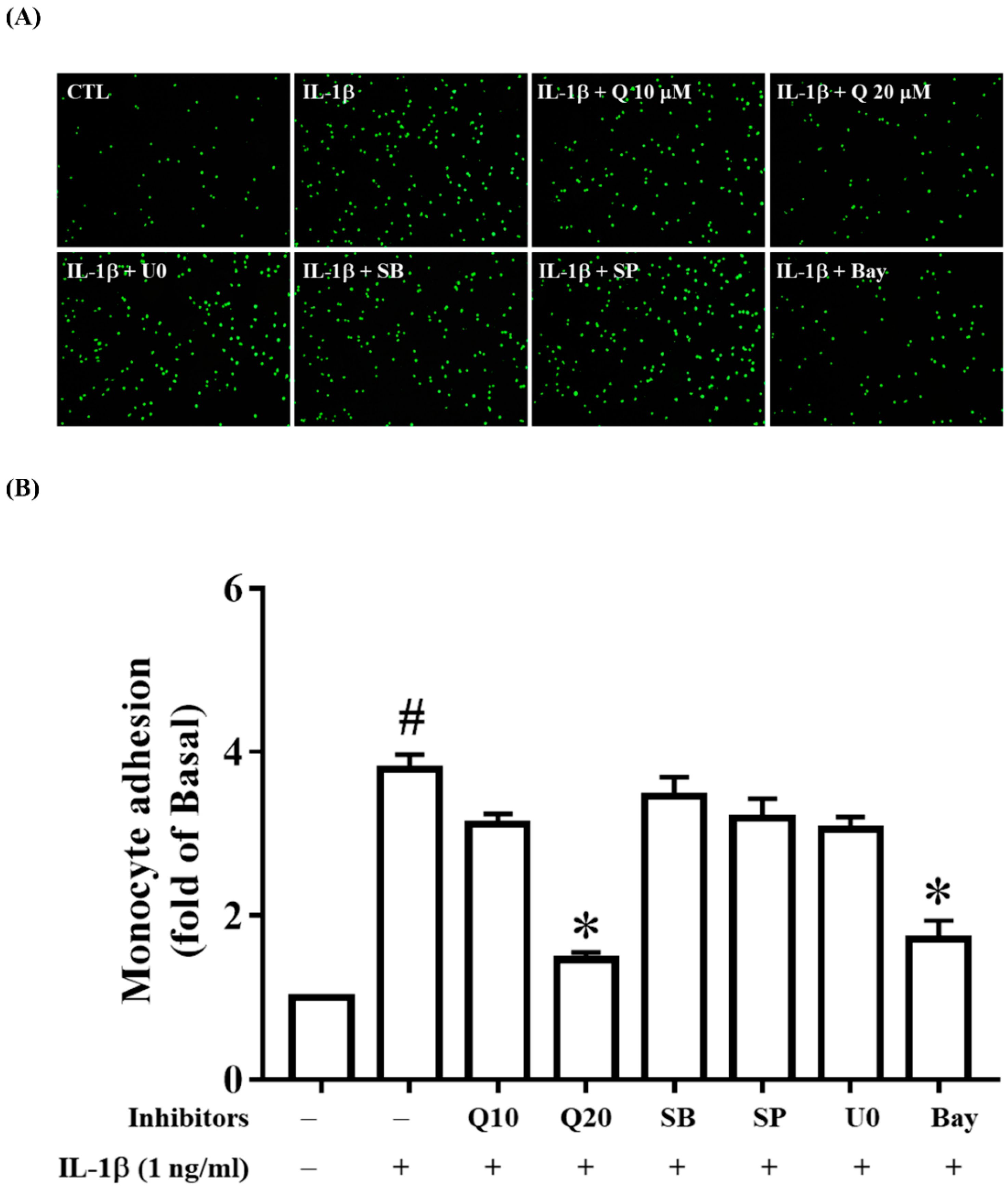 Ijms 20 02957 g009