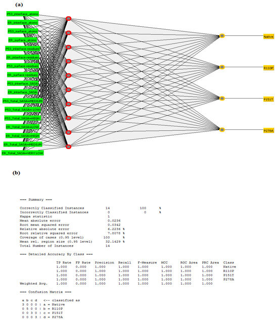 Analysis of the TP53 Deleterious Single Nucleotide Polymorphisms Impact ...