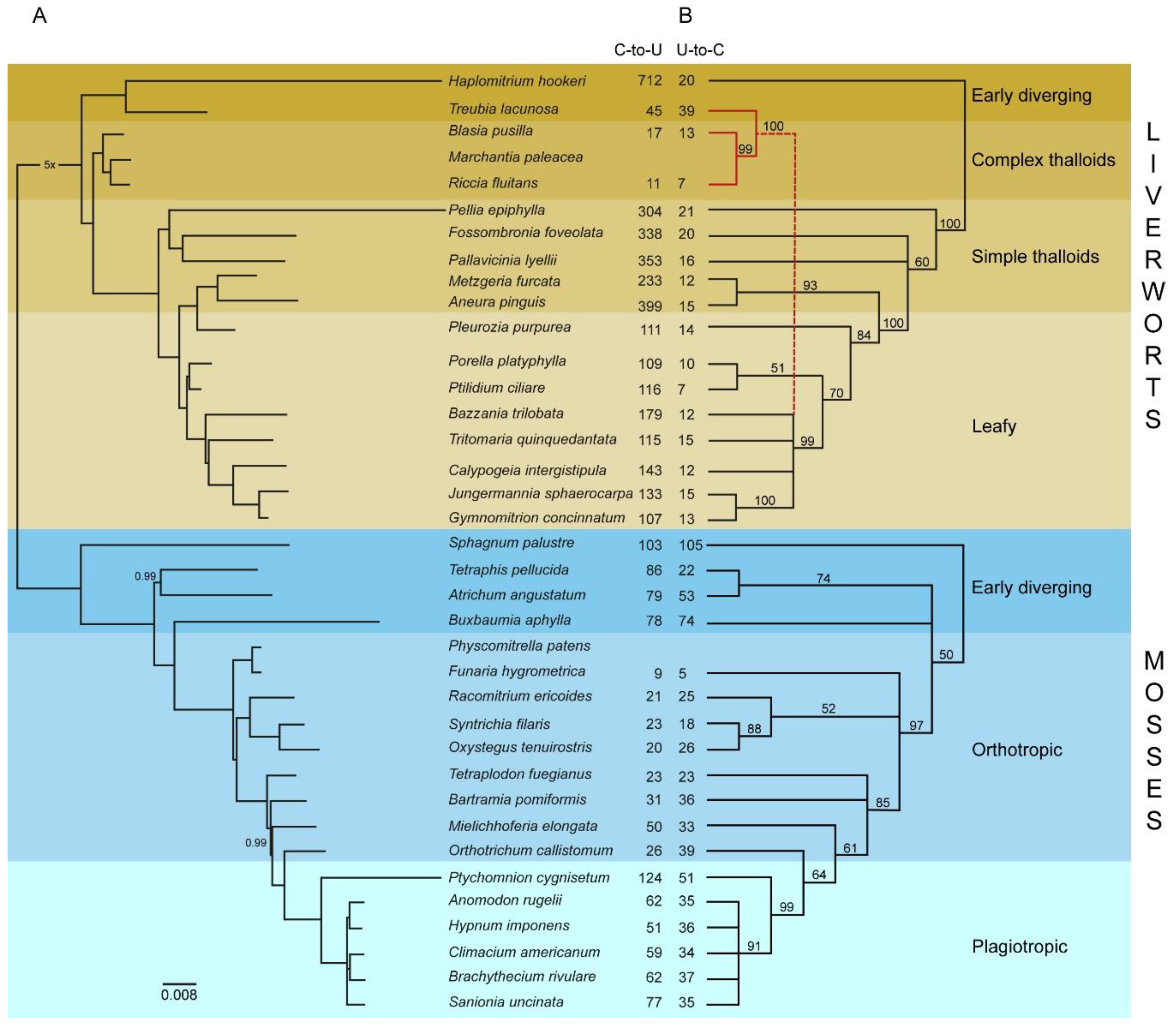 Ijms 20 02963 g001 Ijms 20 02963 g001