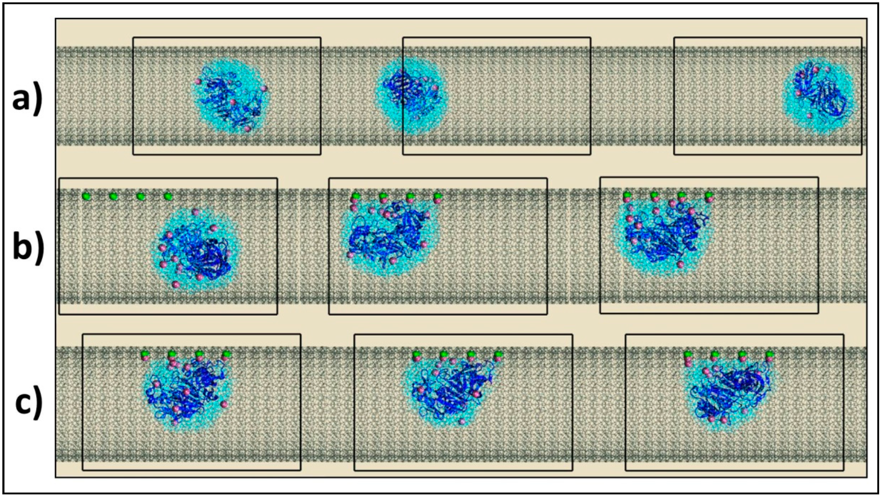 Ijms 20 02965 g001 Ijms 20 02965 g001