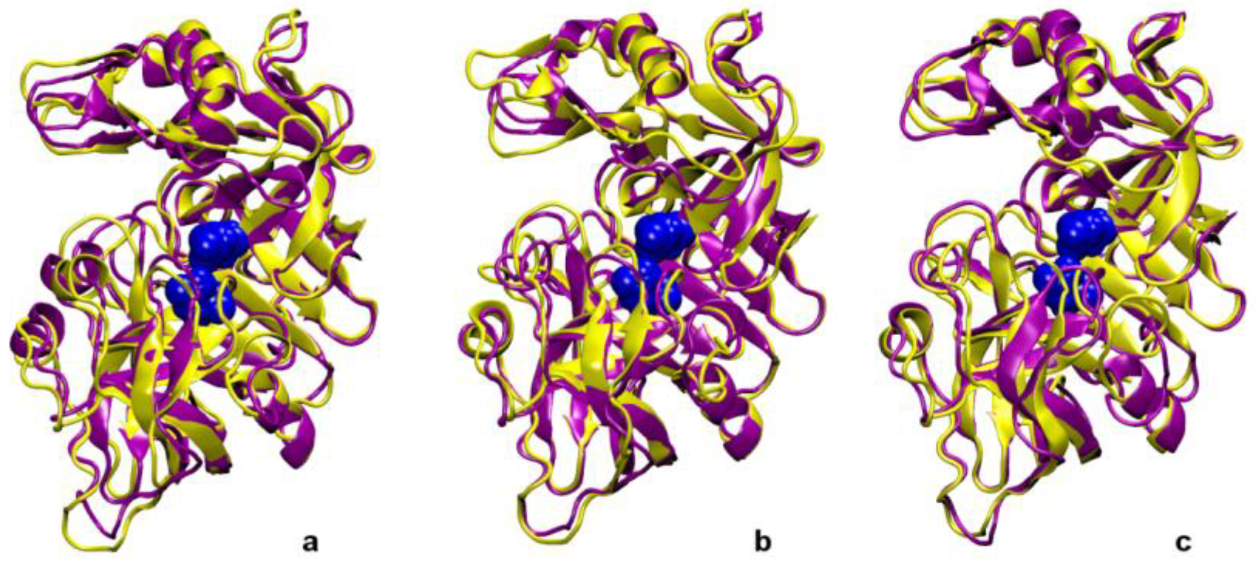 Ijms 20 02965 g005 Ijms 20 02965 g005