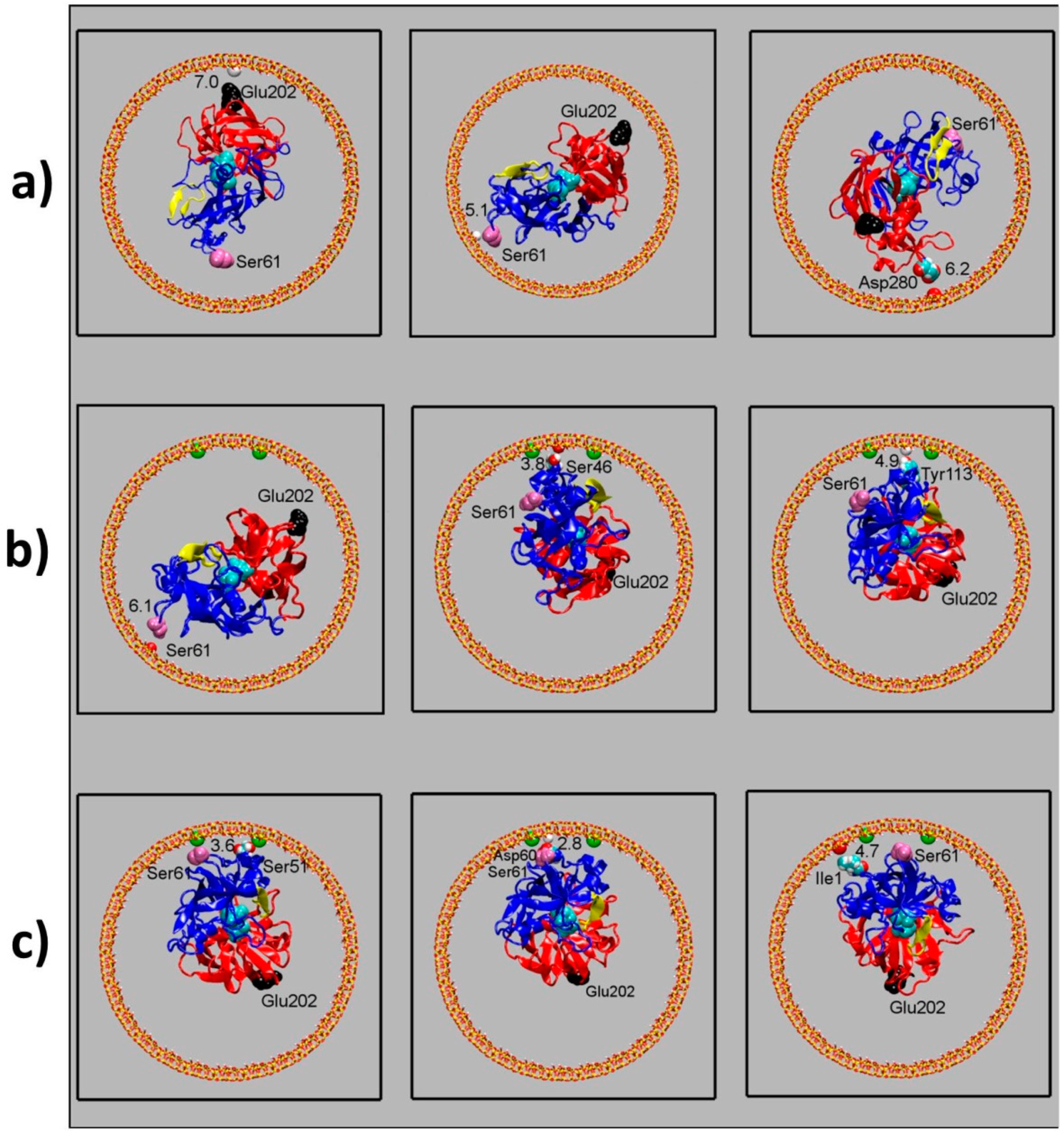 Ijms 20 02965 g006 Ijms 20 02965 g006