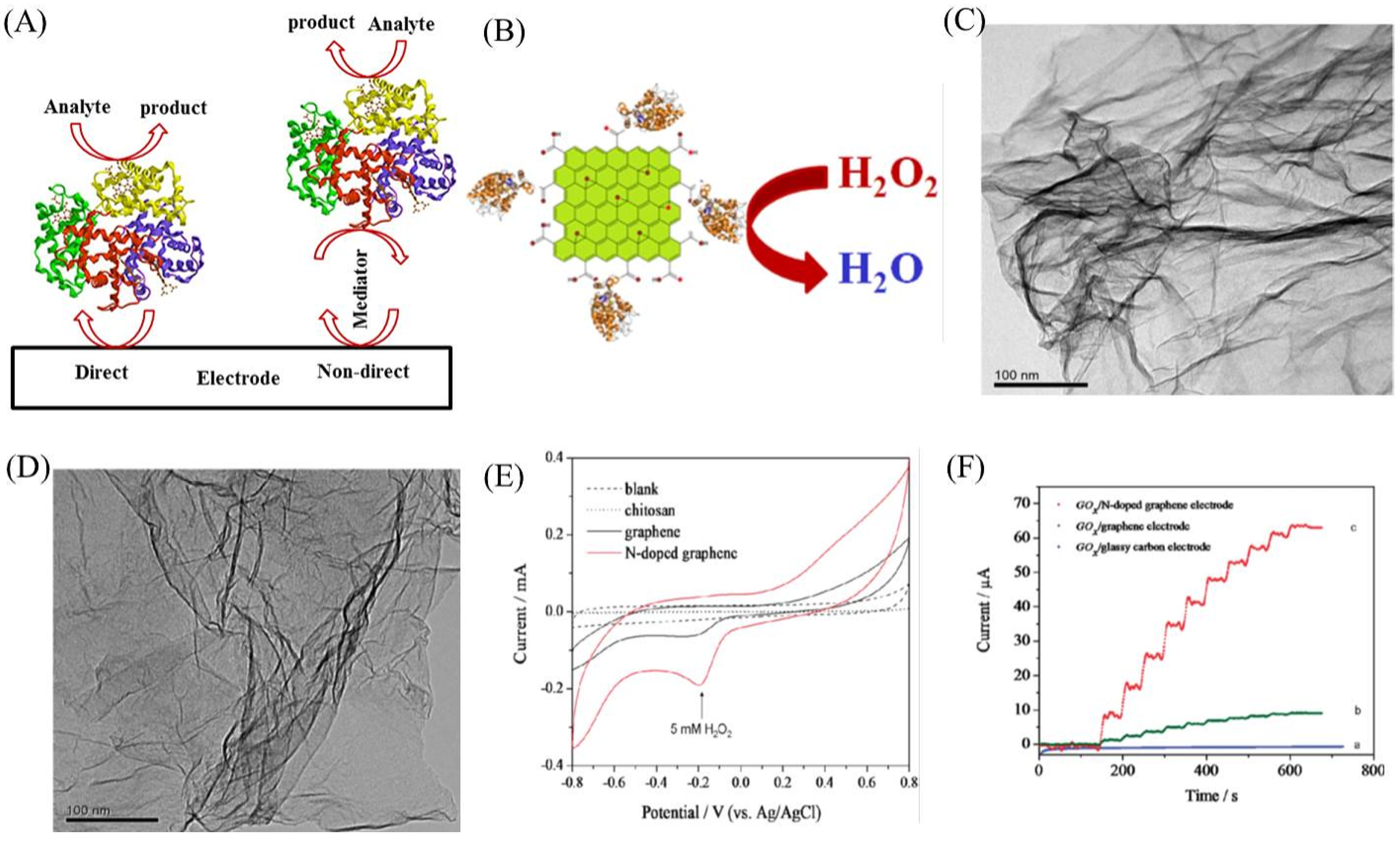 Ijms 20 02975 g003 Ijms 20 02975 g003