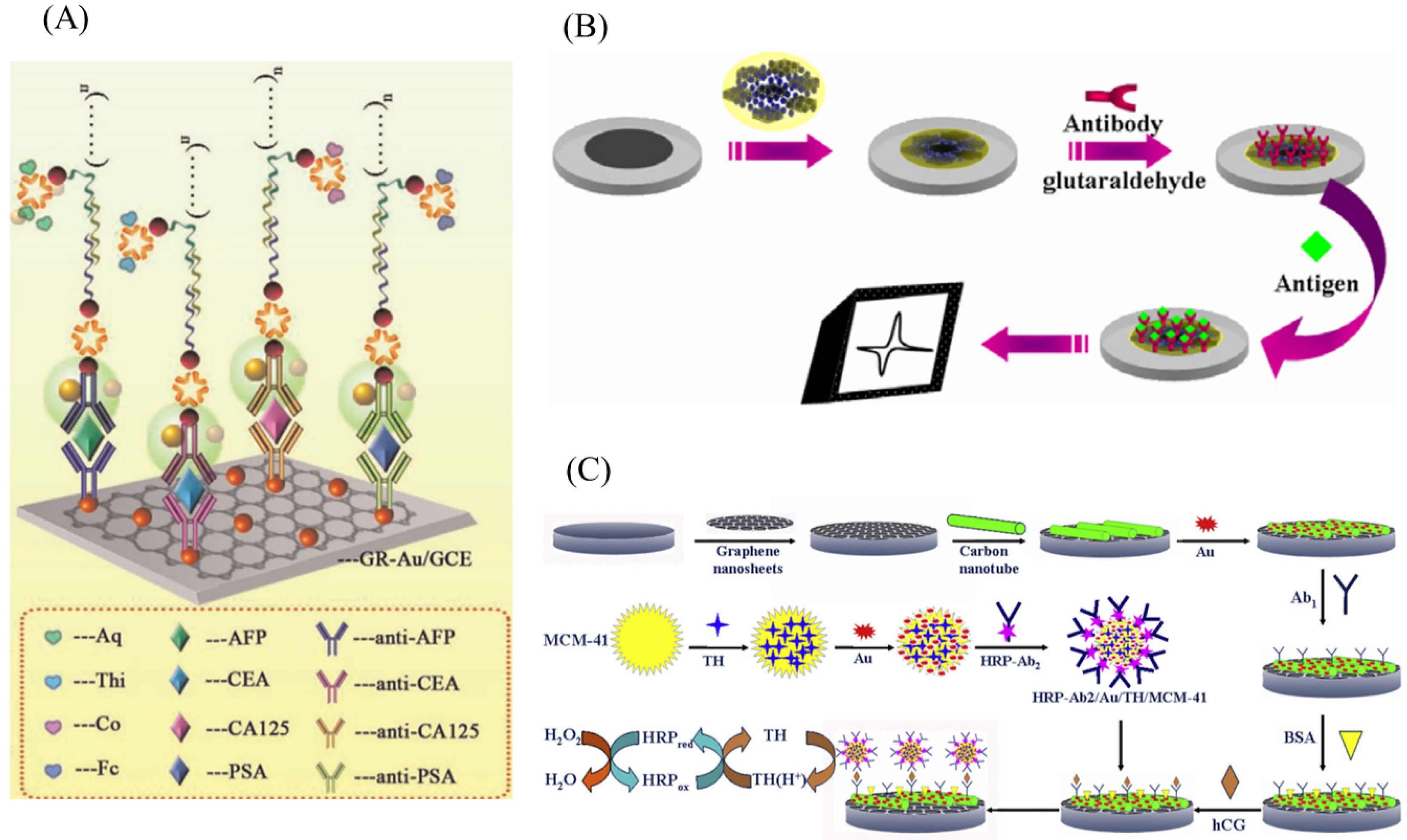 Ijms 20 02975 g007 Ijms 20 02975 g007
