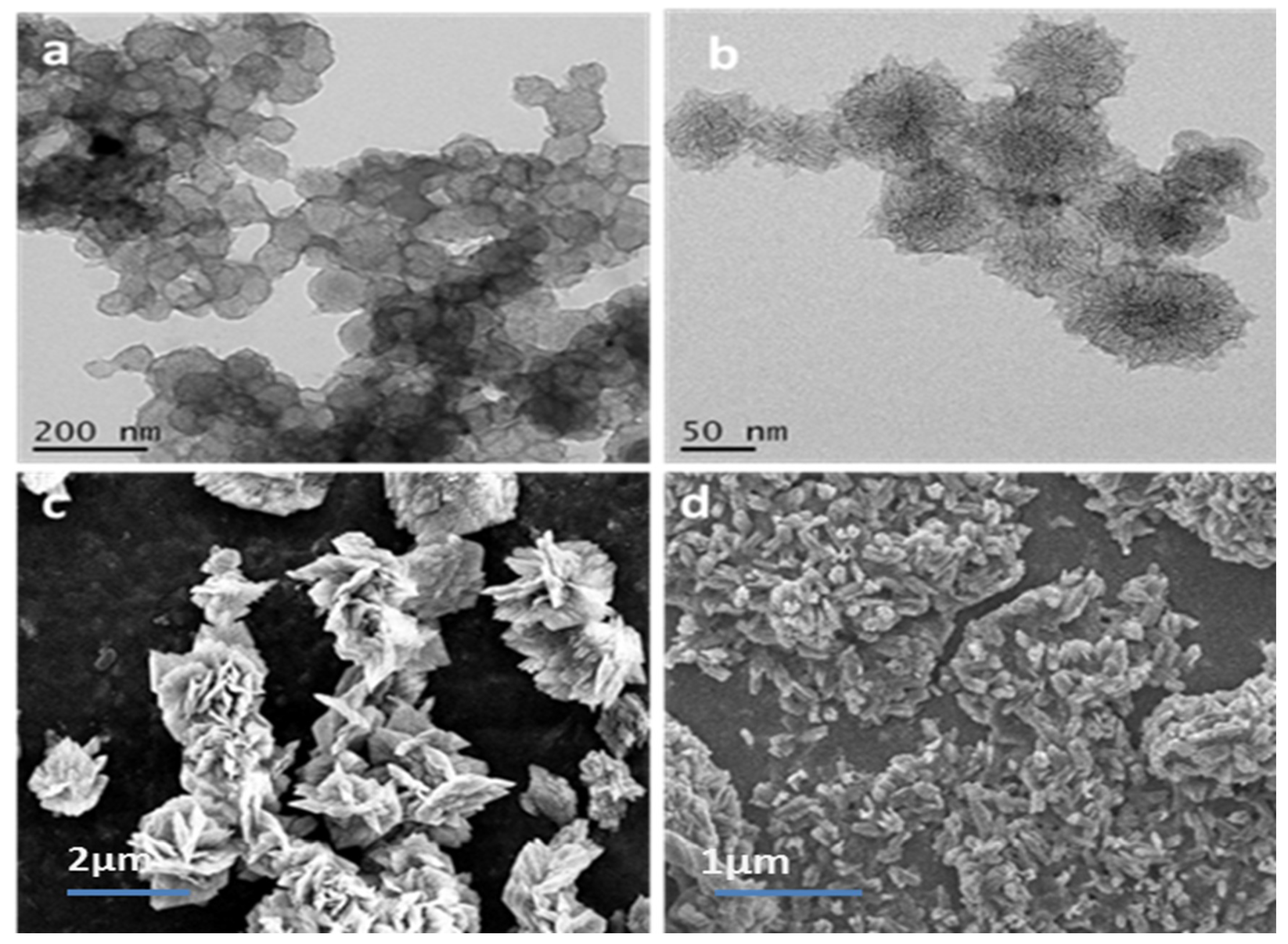 Ijms 20 02977 g001 550