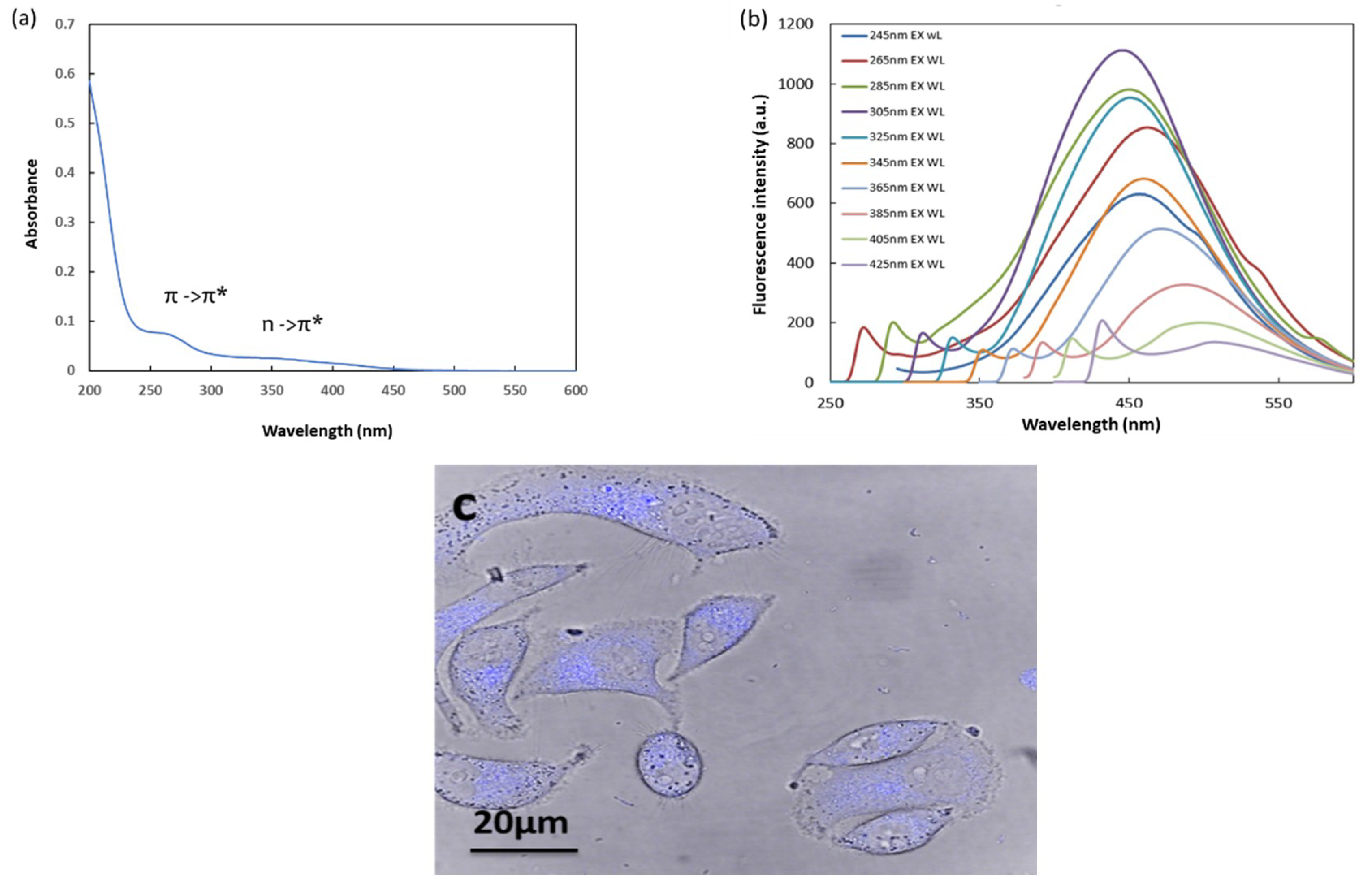 Ijms 20 02977 g004 550
