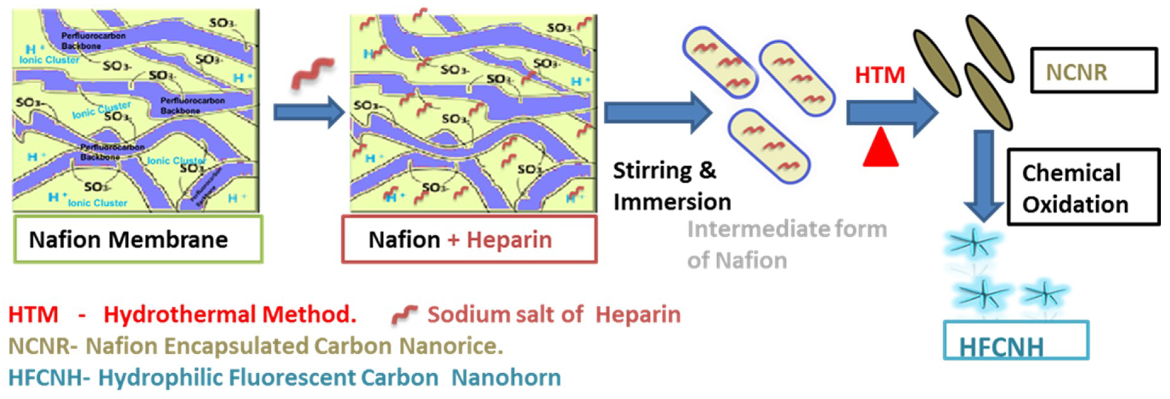 Ijms 20 02977 sch001 550