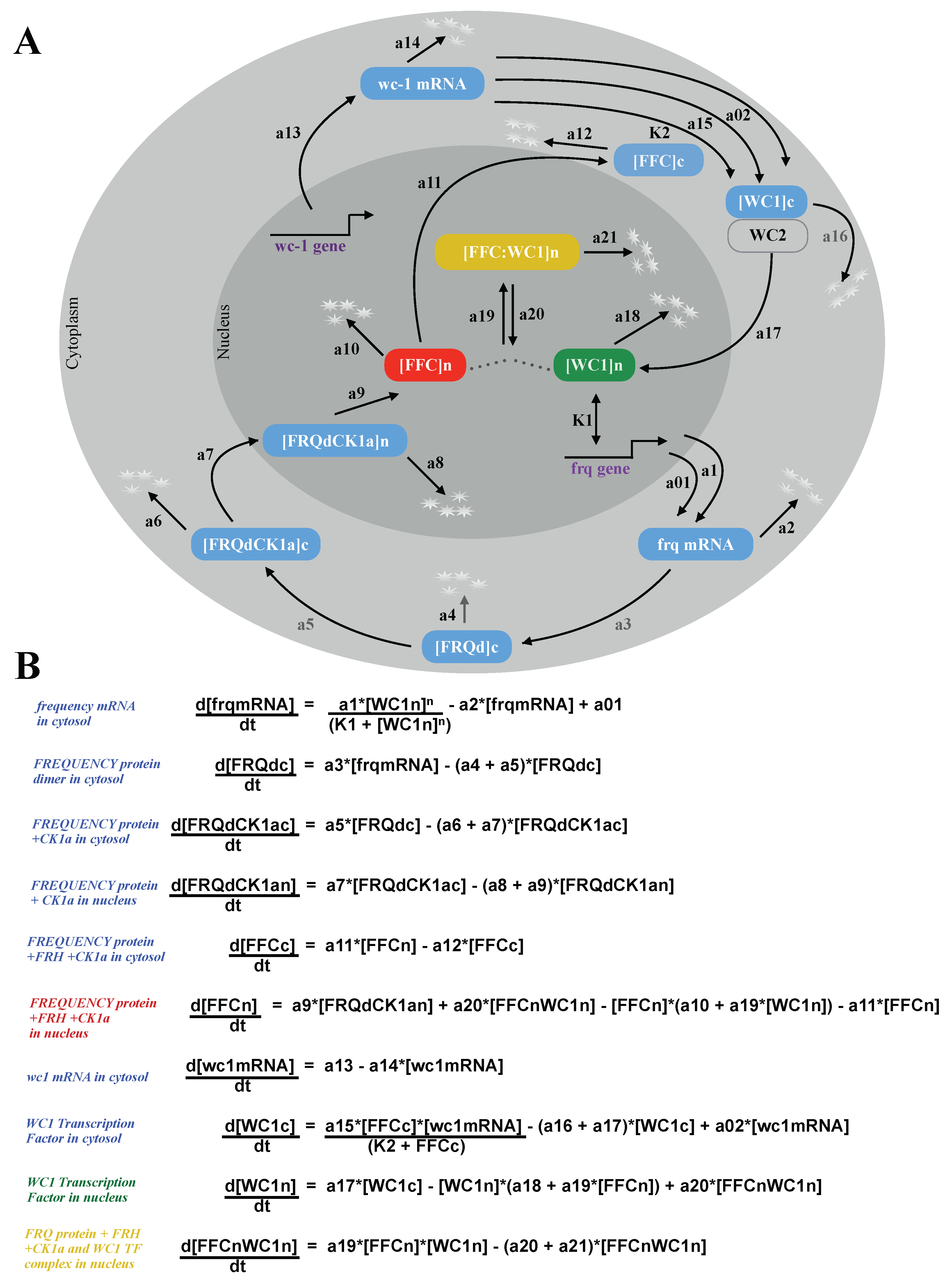 Ijms 20 02985 g002 Ijms 20 02985 g002