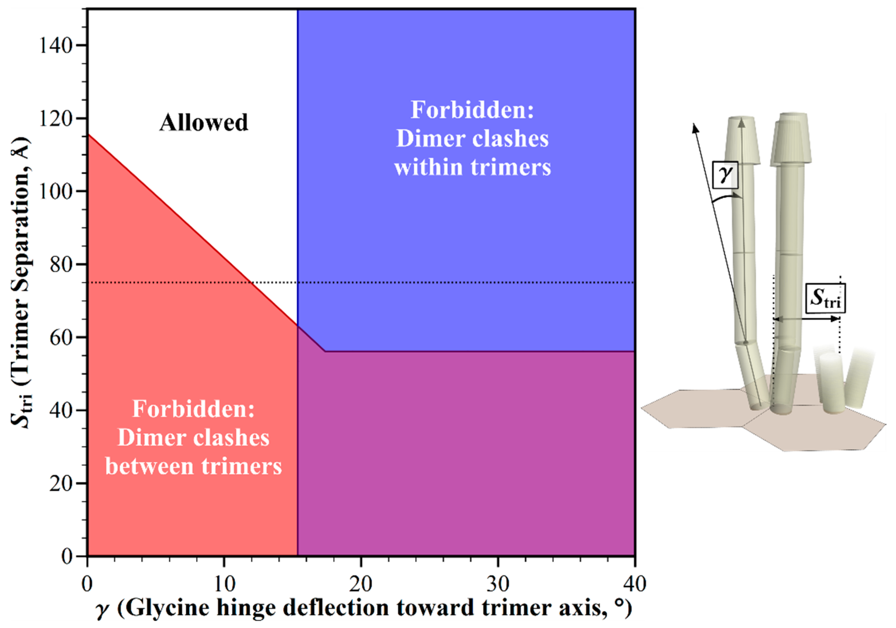 Ijms 20 02989 g005 Ijms 20 02989 g005