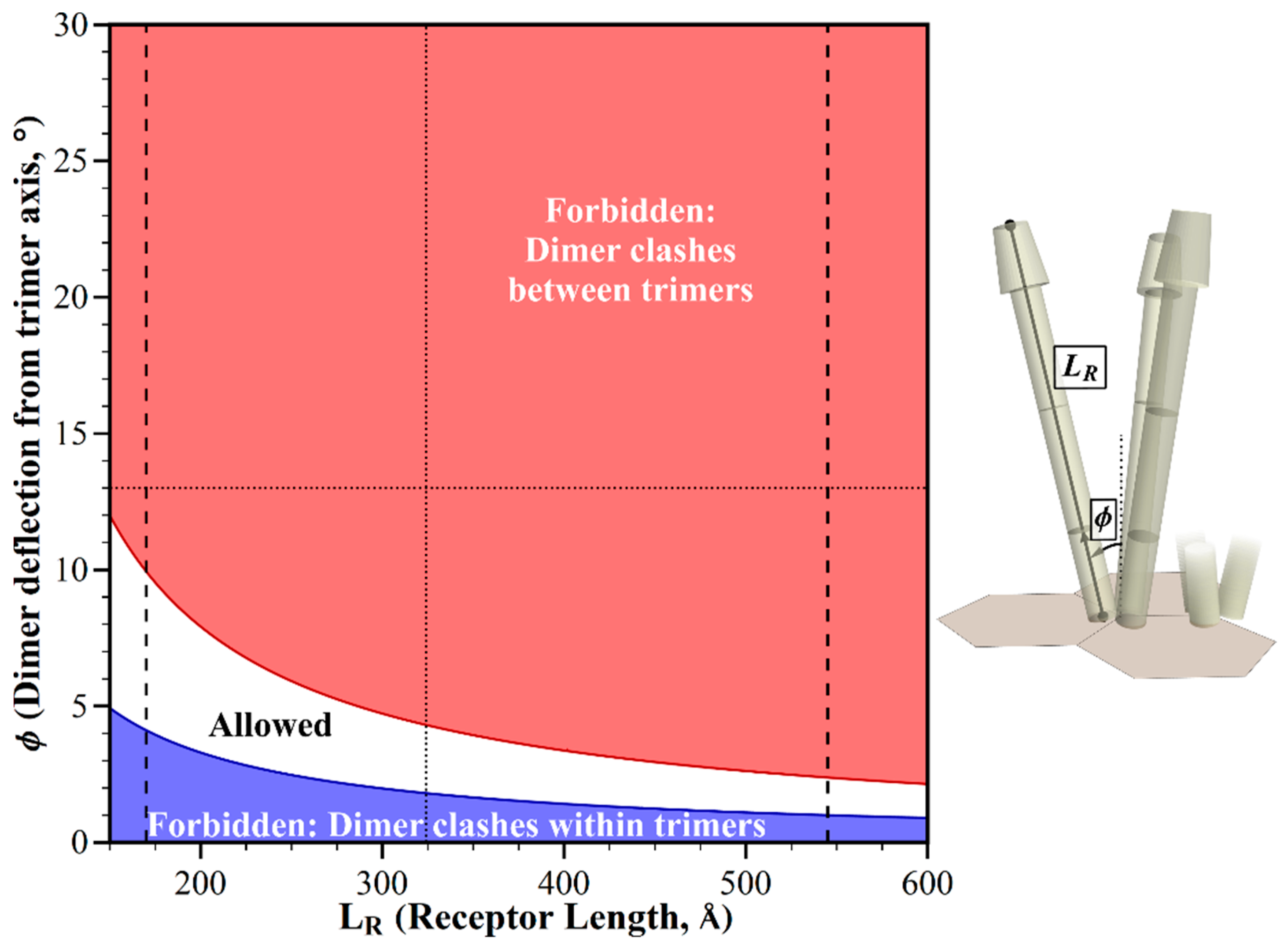 Ijms 20 02989 g006 Ijms 20 02989 g006