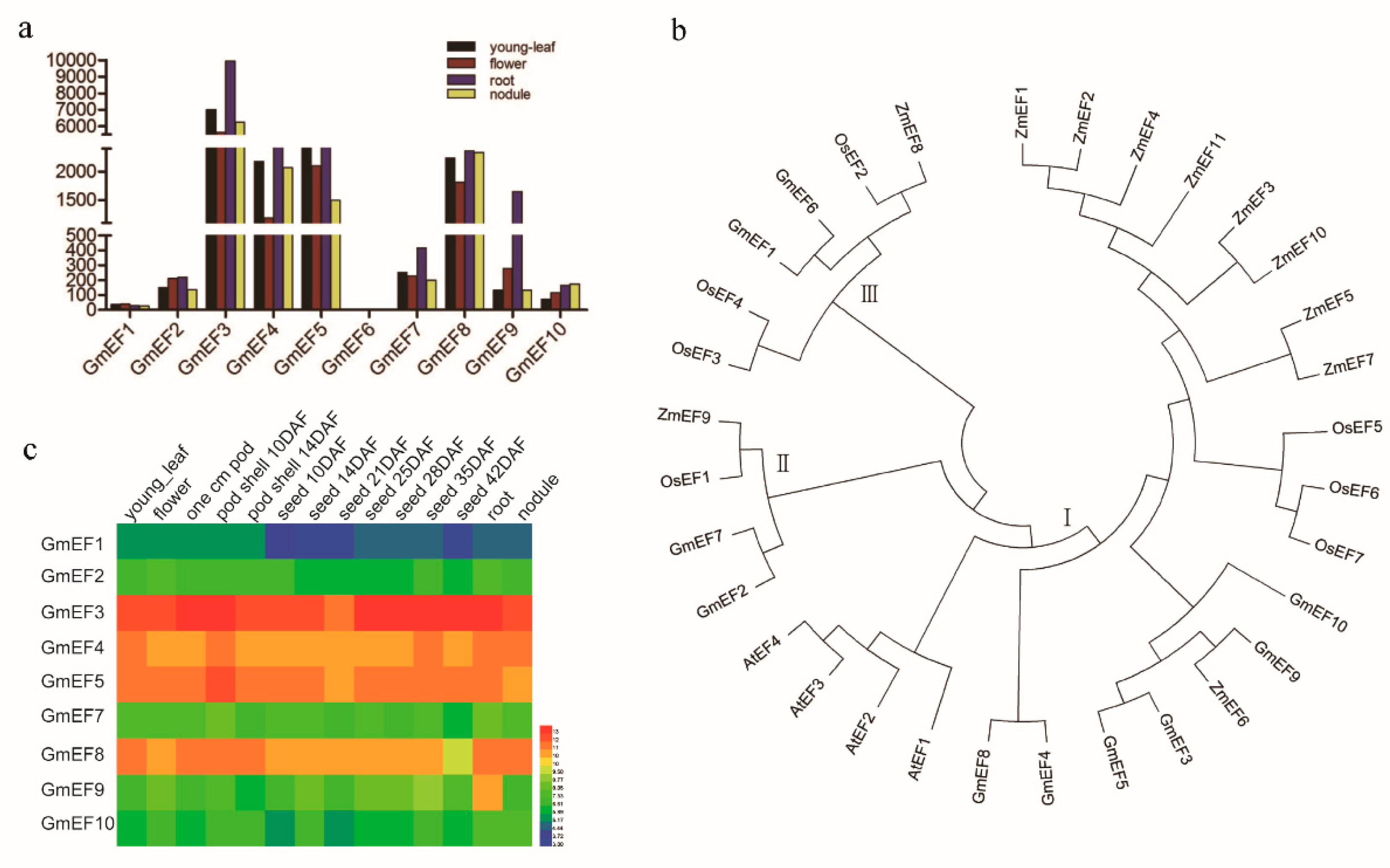 Ijms 20 03001 g003 Ijms 20 03001 g003