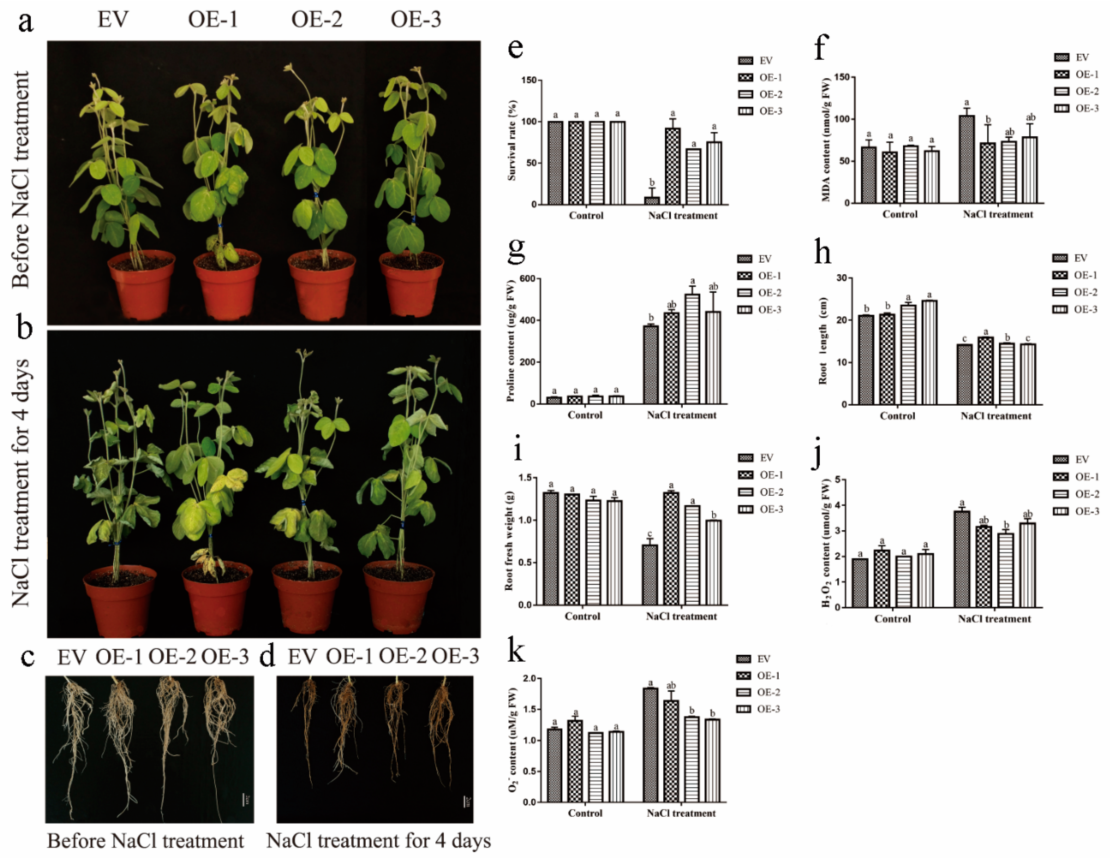 Ijms 20 03001 g007 Ijms 20 03001 g007