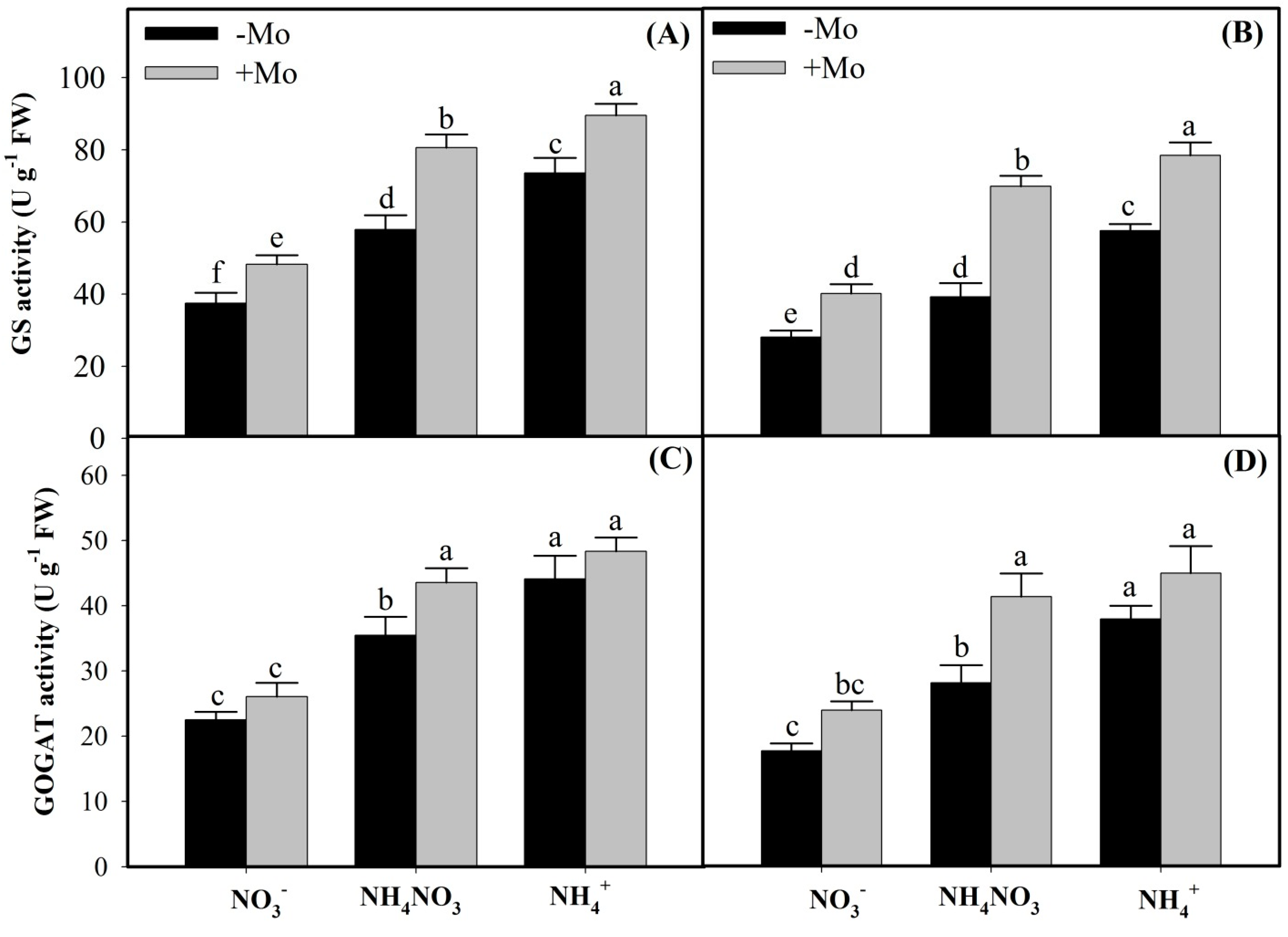 Ijms 20 03009 g002 Ijms 20 03009 g002