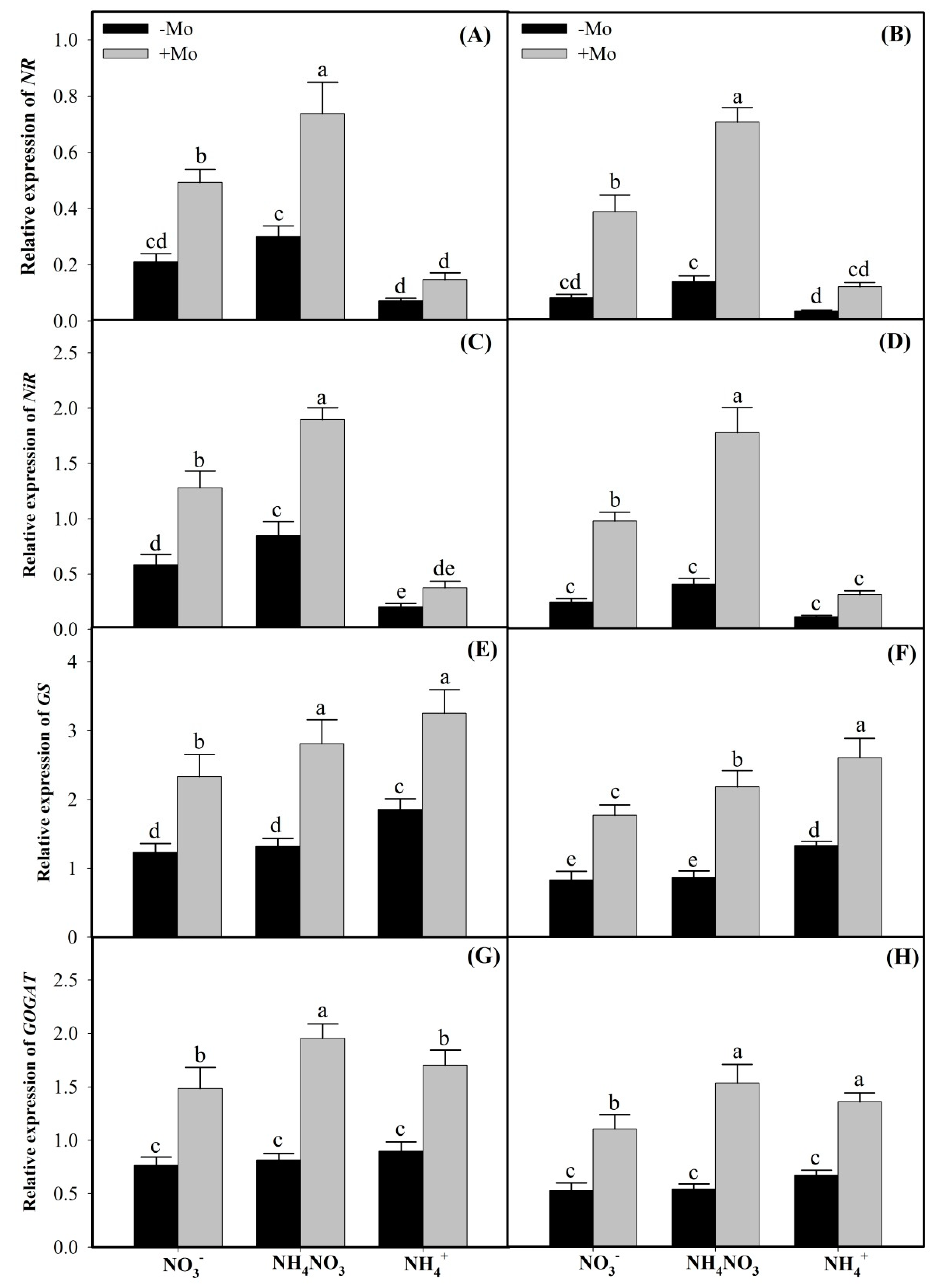 Ijms 20 03009 g003 Ijms 20 03009 g003