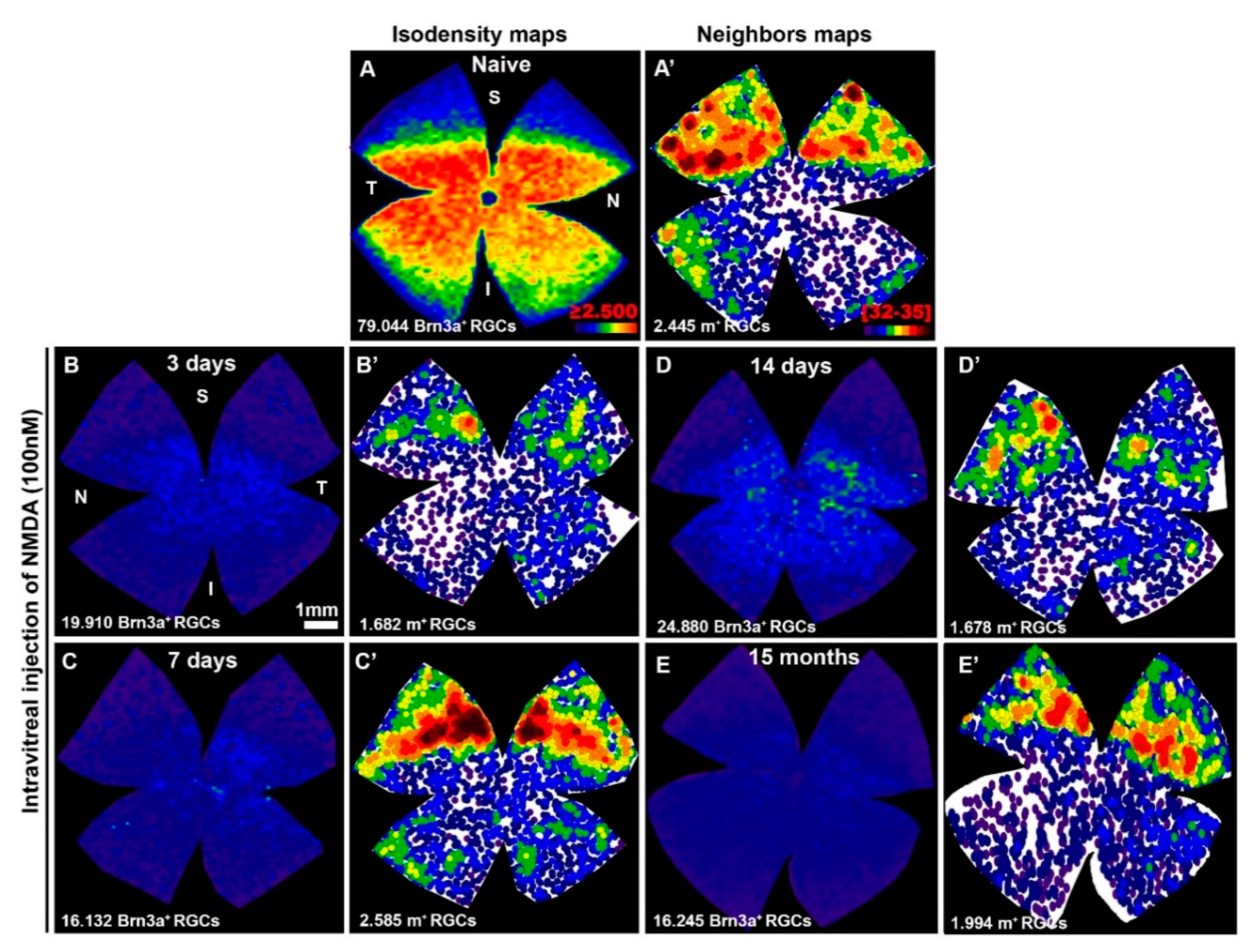 Ijms 20 03012 g003 Ijms 20 03012 g003