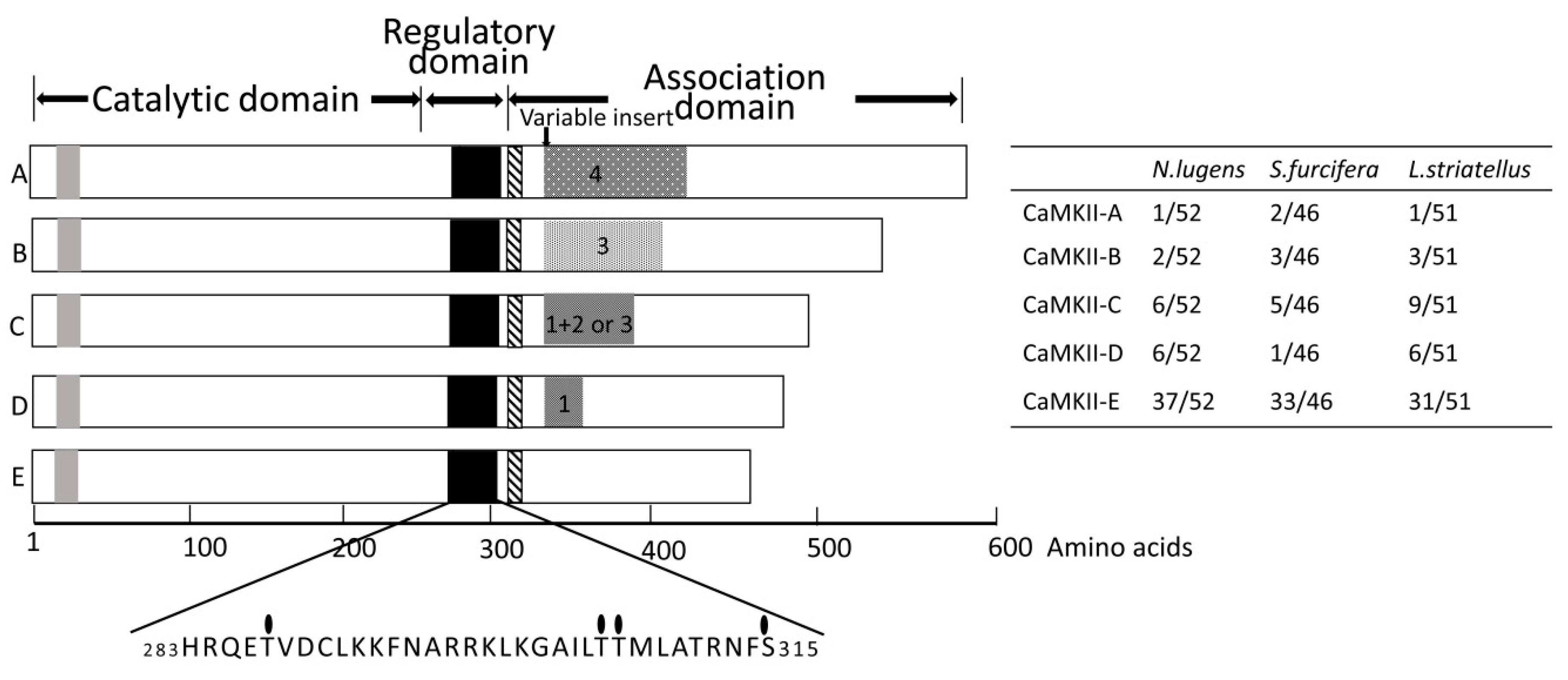 Ijms 20 03014 g001 Ijms 20 03014 g001