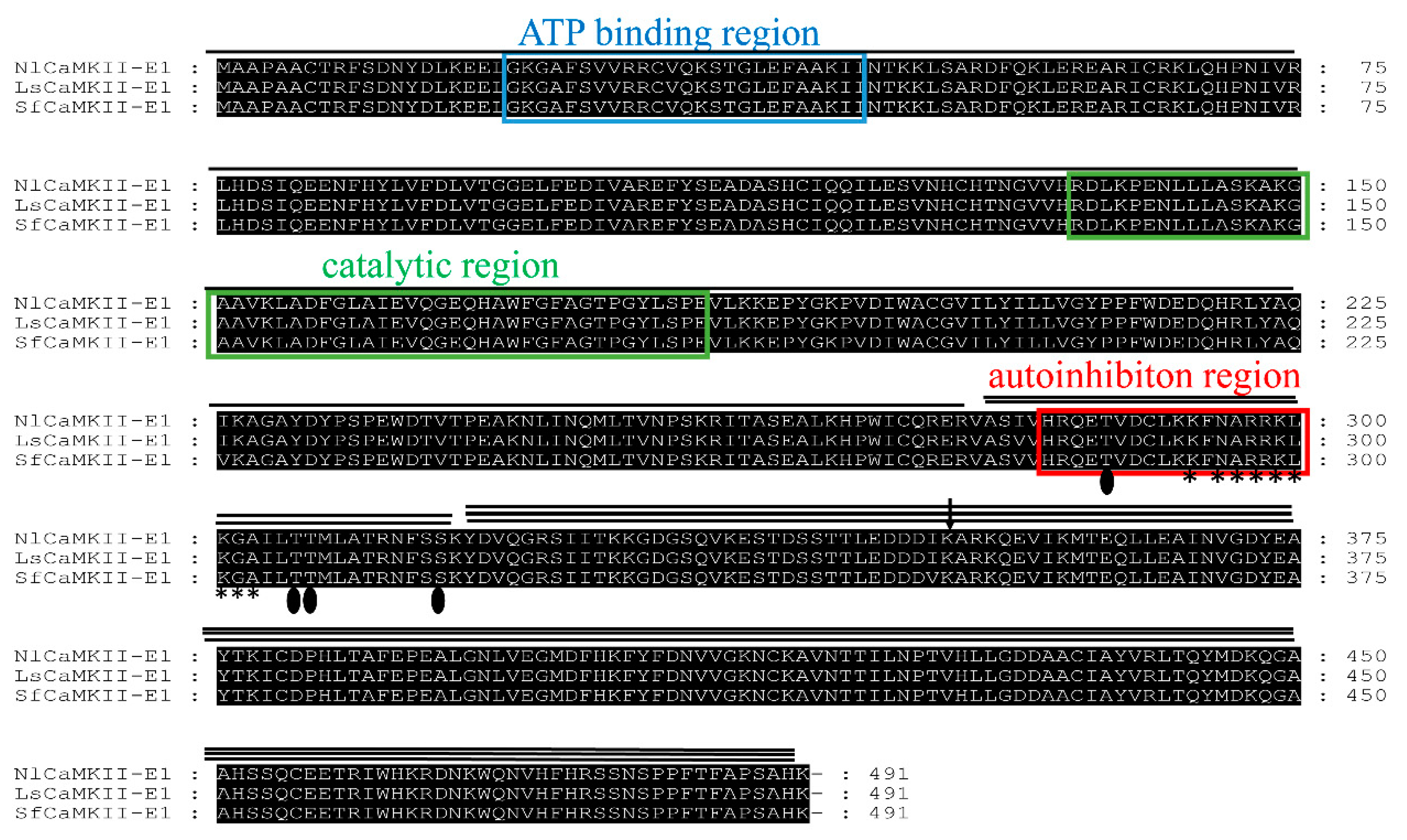 Ijms 20 03014 g002 Ijms 20 03014 g002