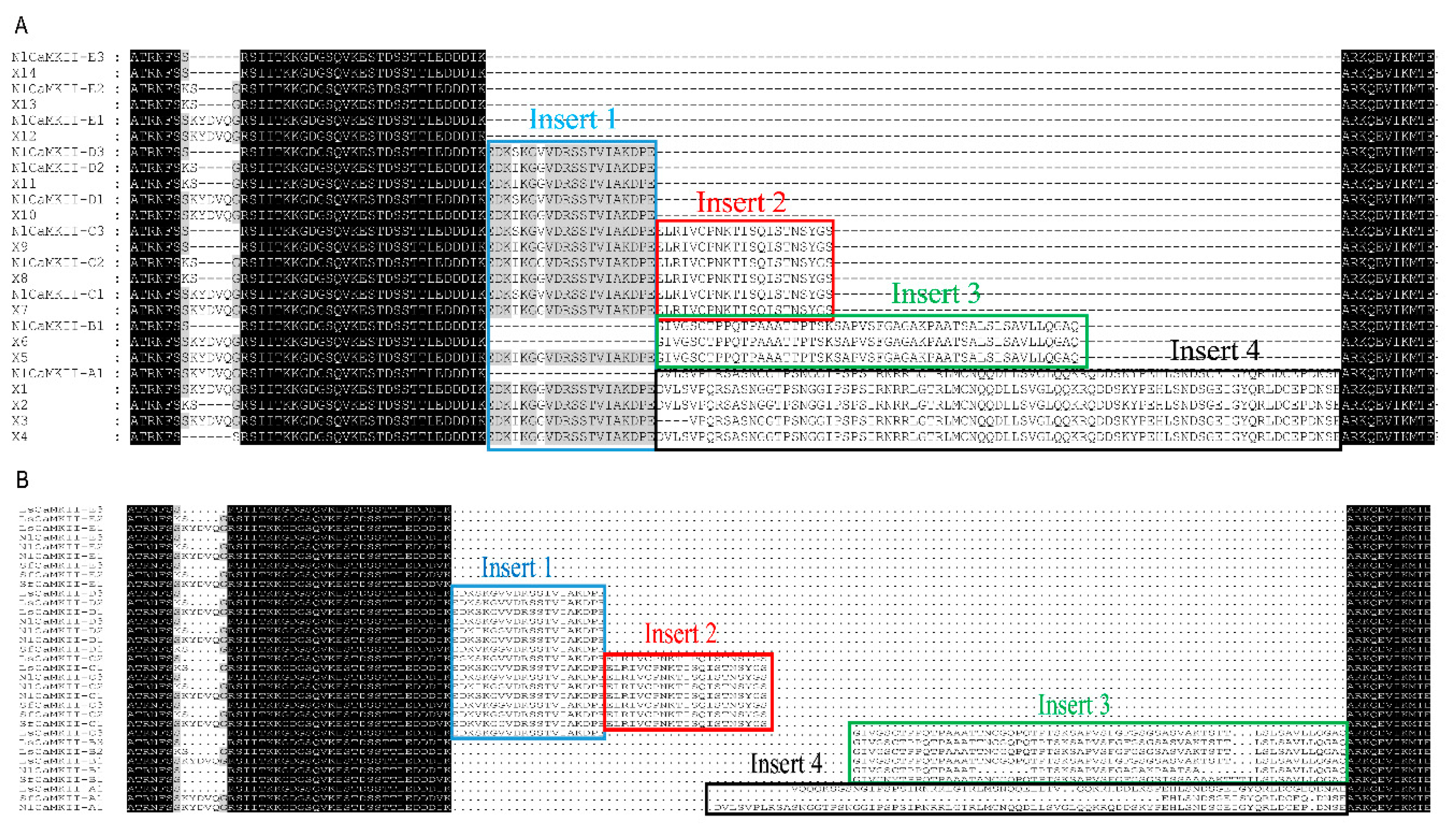 Ijms 20 03014 g003 Ijms 20 03014 g003