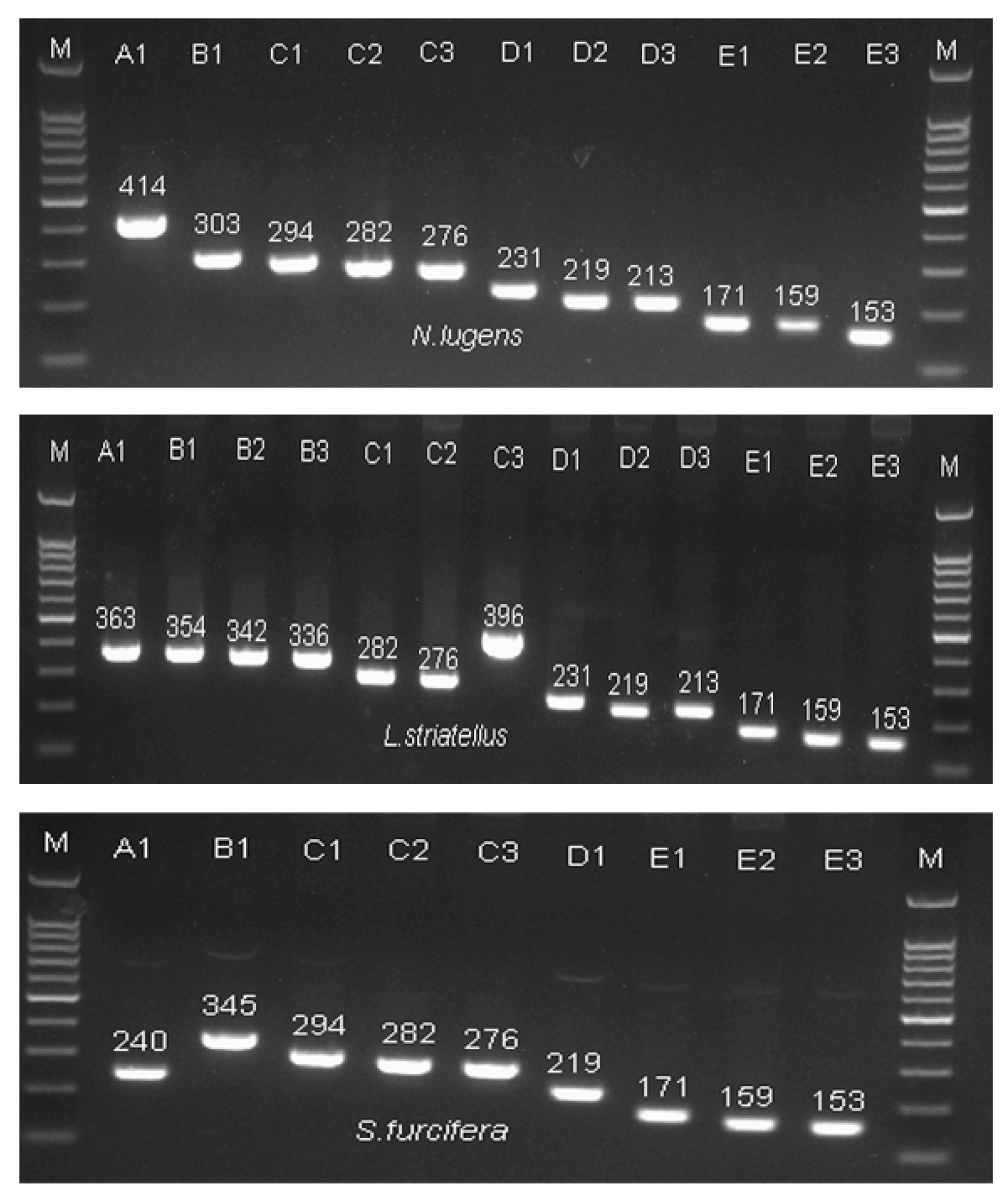 Ijms 20 03014 g005 Ijms 20 03014 g005