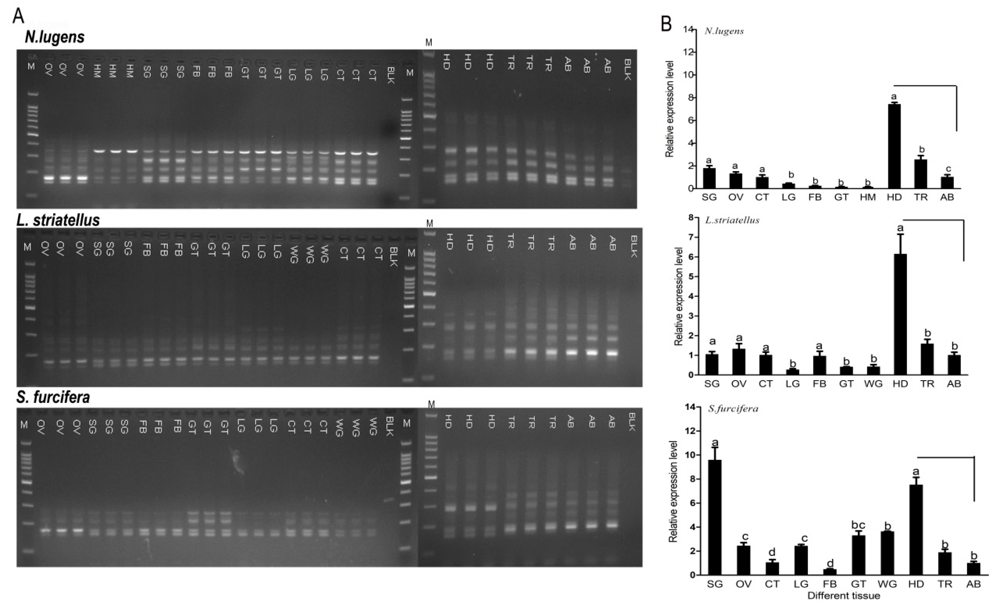 Ijms 20 03014 g006 Ijms 20 03014 g006