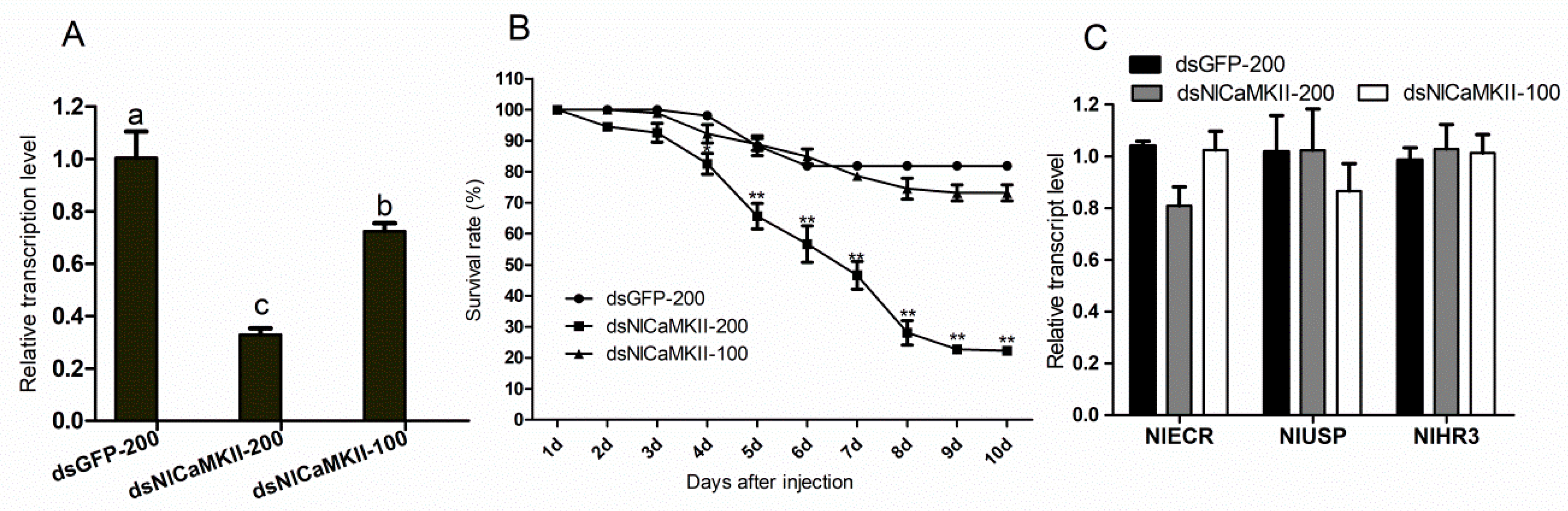 Ijms 20 03014 g008 Ijms 20 03014 g008