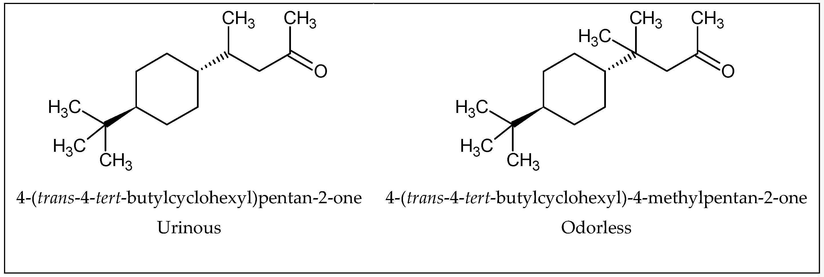 Ijms 20 03018 g005 Ijms 20 03018 g005