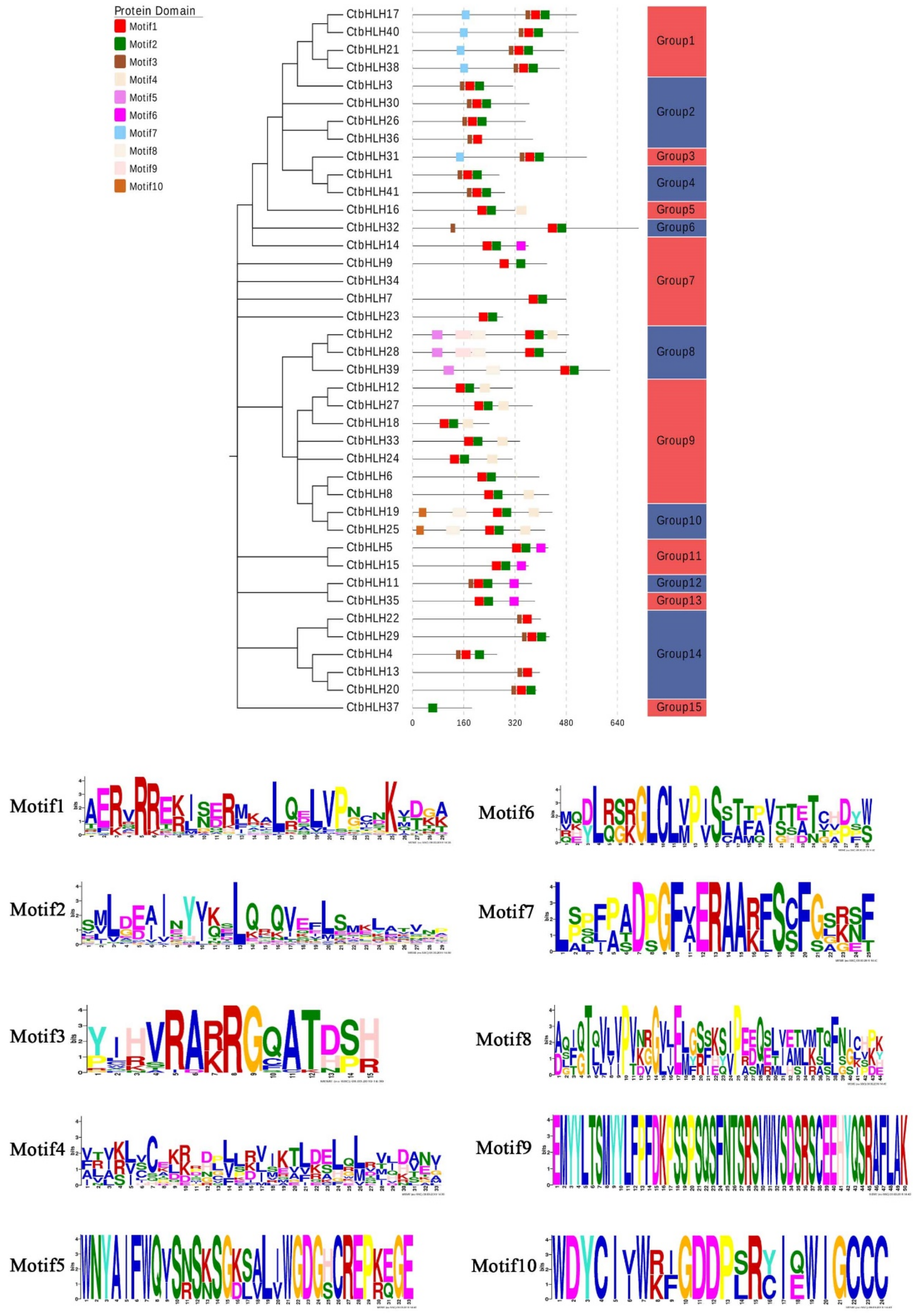 Ijms 20 03044 g002 Ijms 20 03044 g002