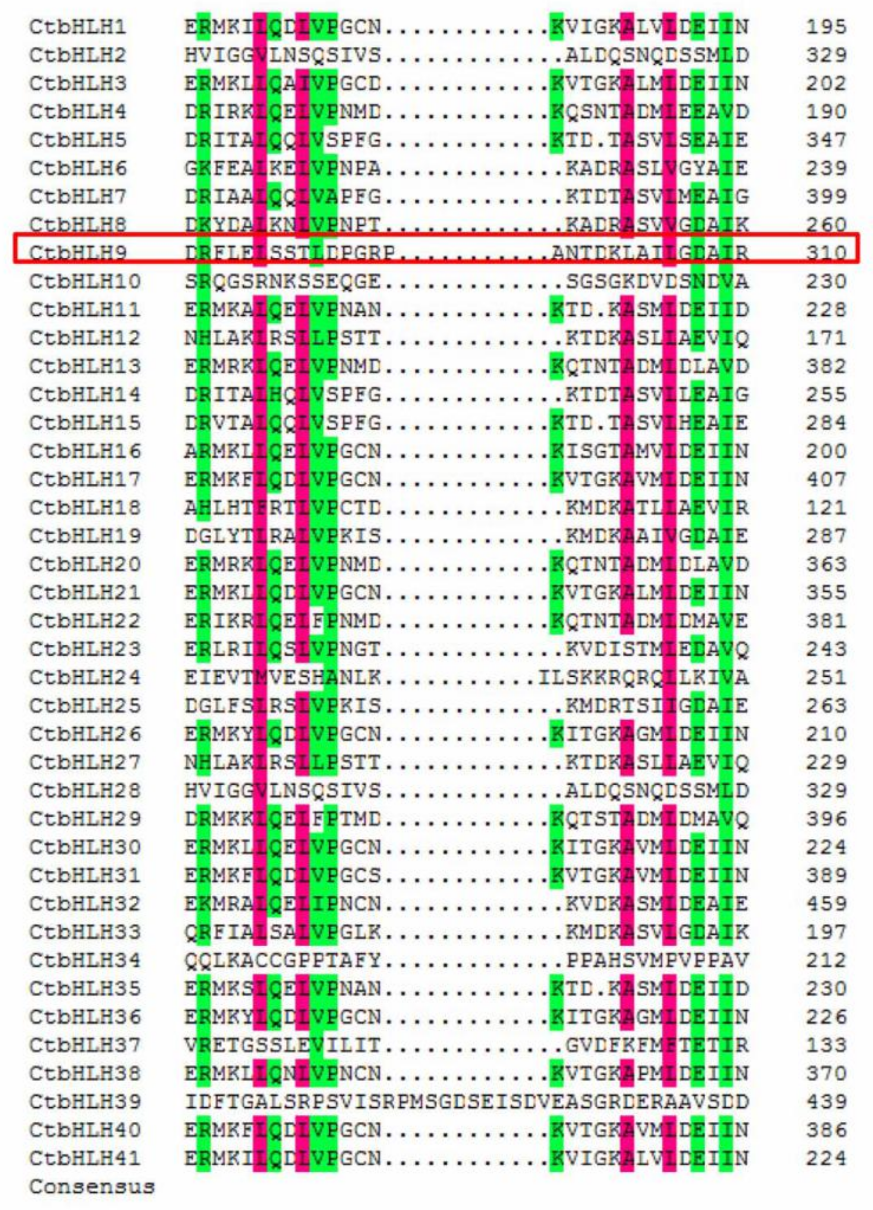 Ijms 20 03044 g003 Ijms 20 03044 g003