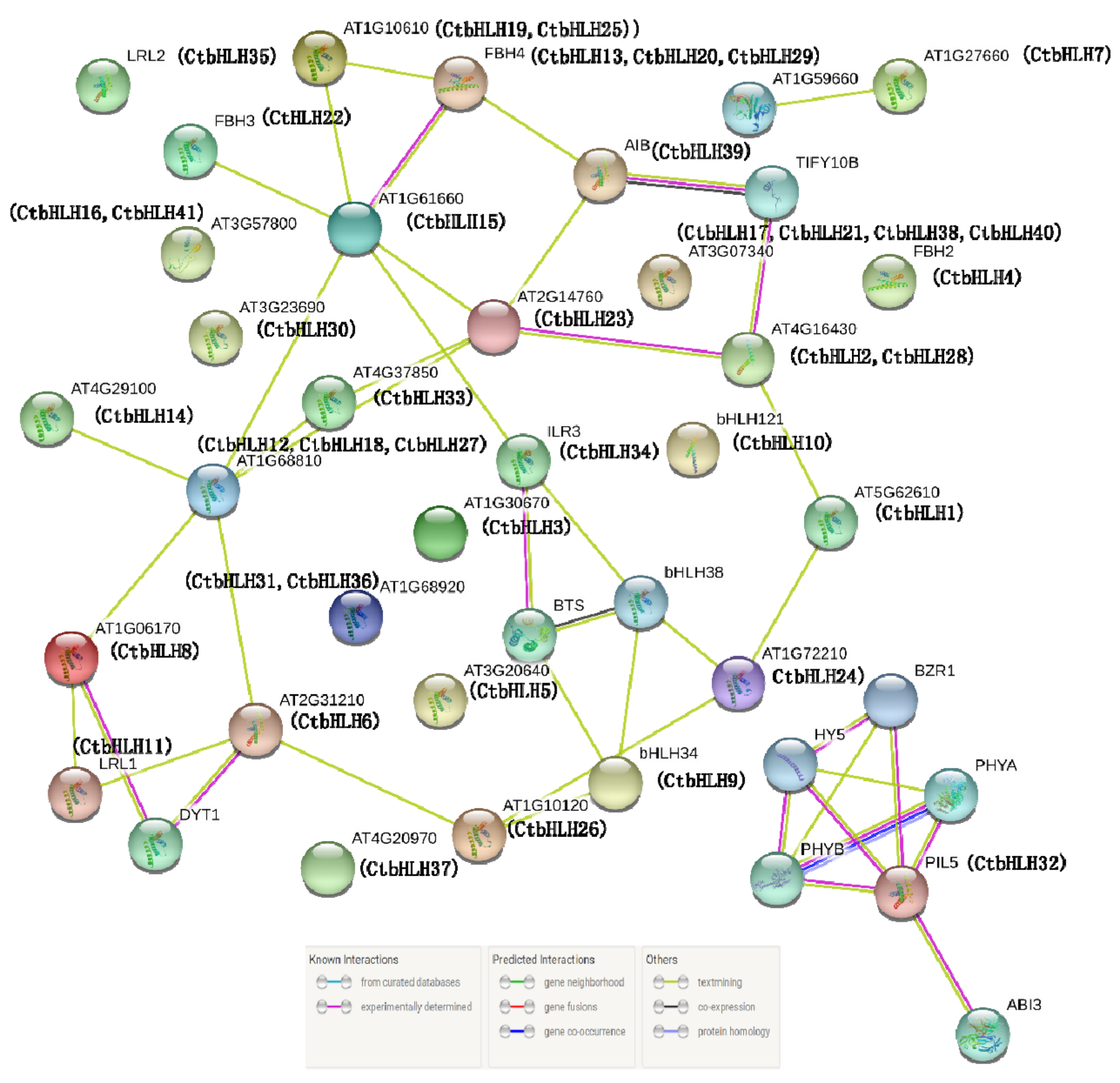 Ijms 20 03044 g006 Ijms 20 03044 g006