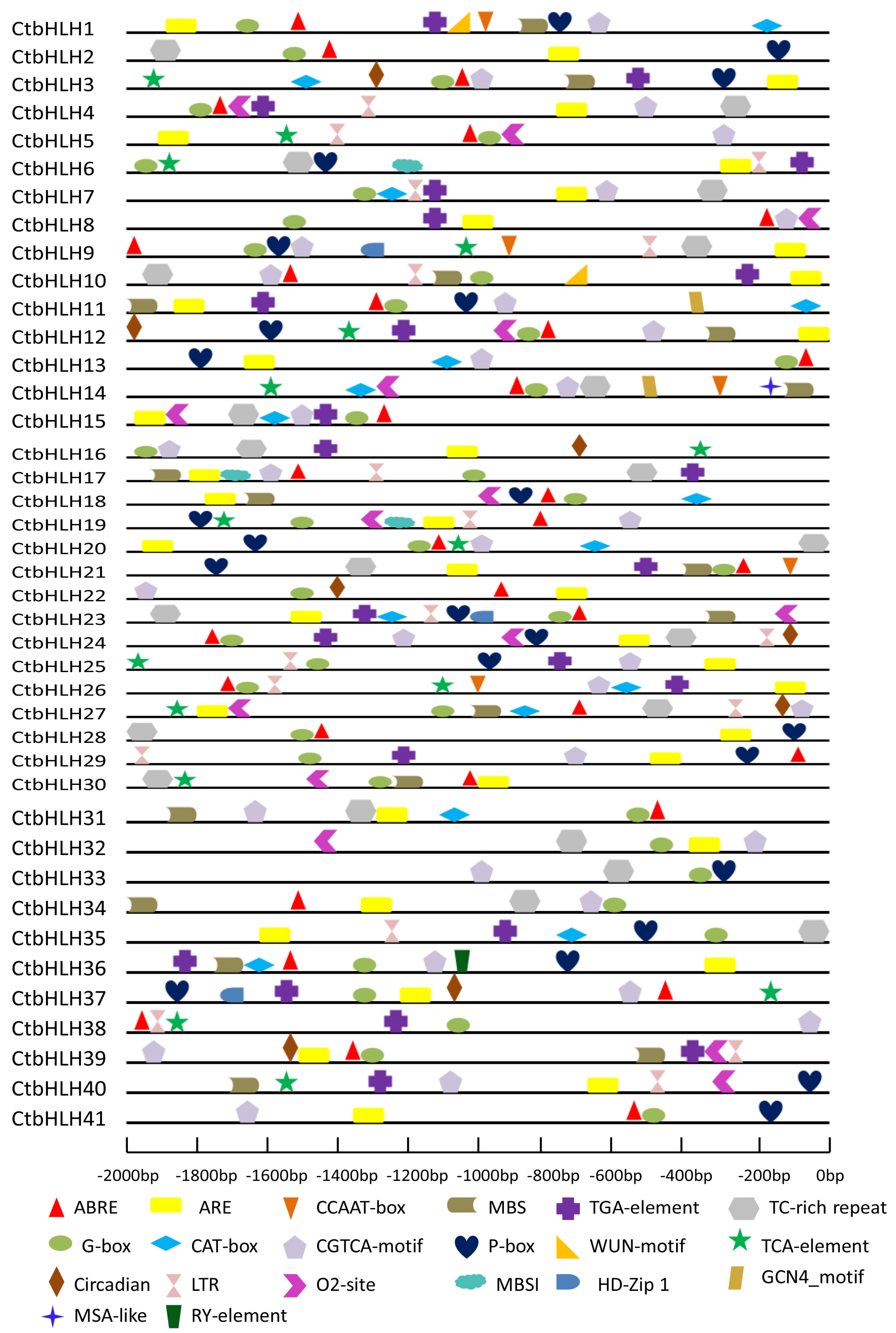 Ijms 20 03044 g007 Ijms 20 03044 g007